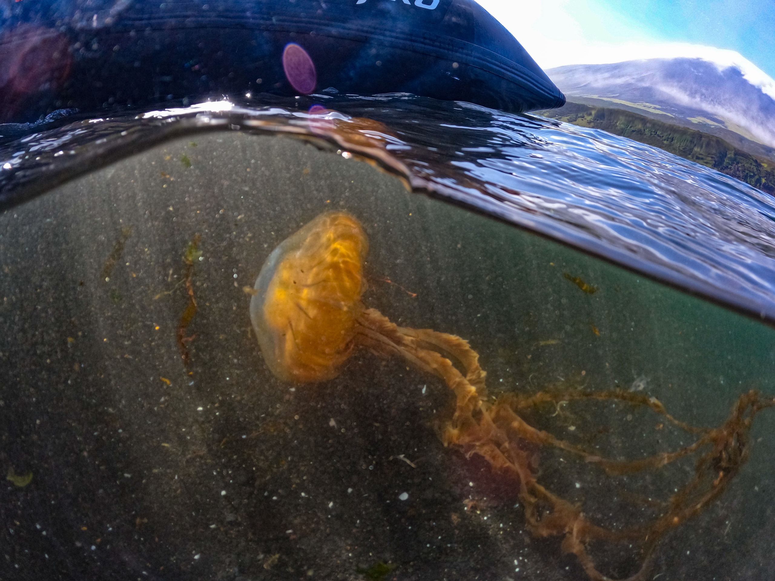 Экспедиция по Северным Курильским островам с Vasta. Фотограф Красная Поляна — Сочи — Москва