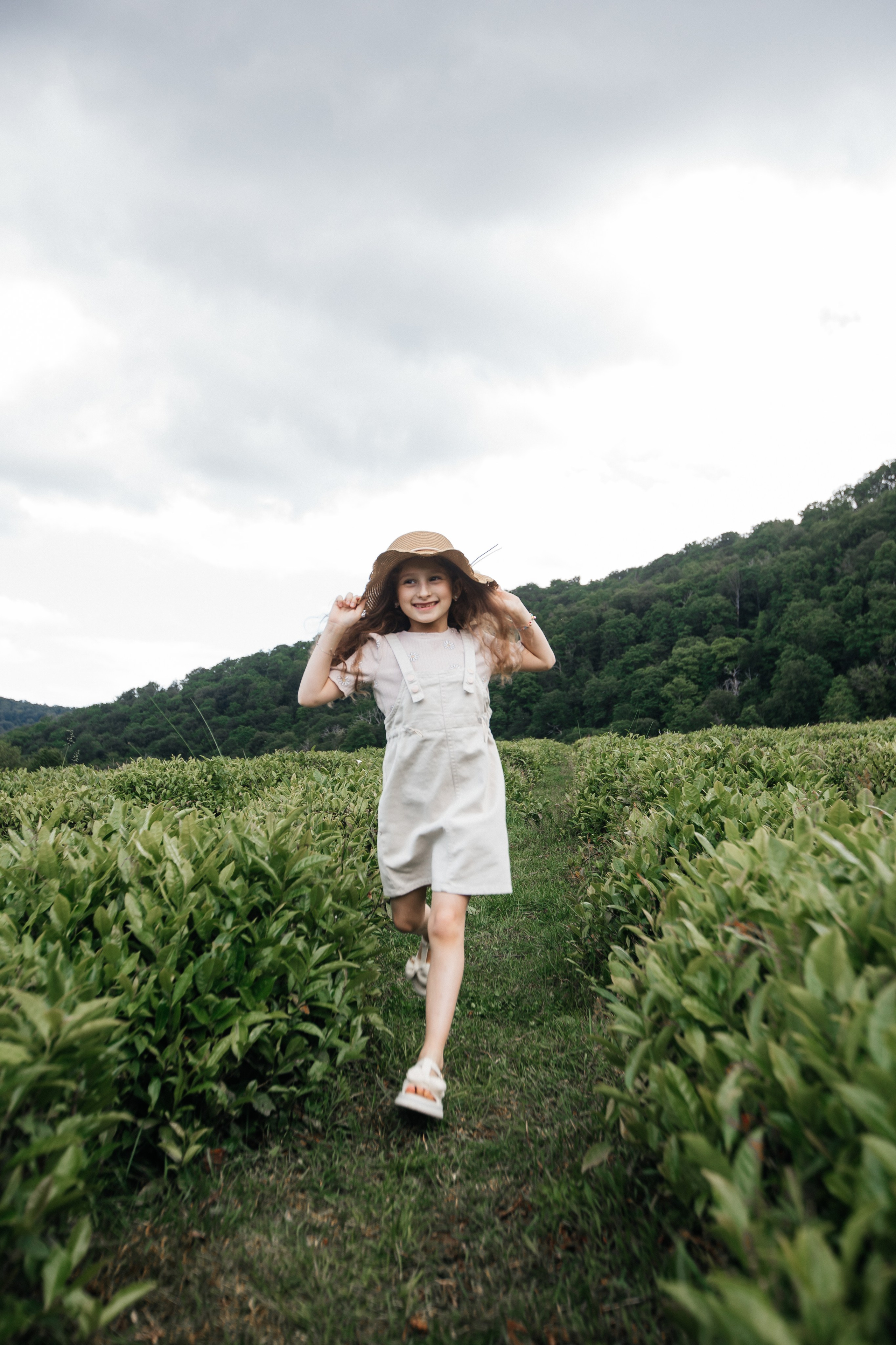 Tea plantation. Efimova Model Agency