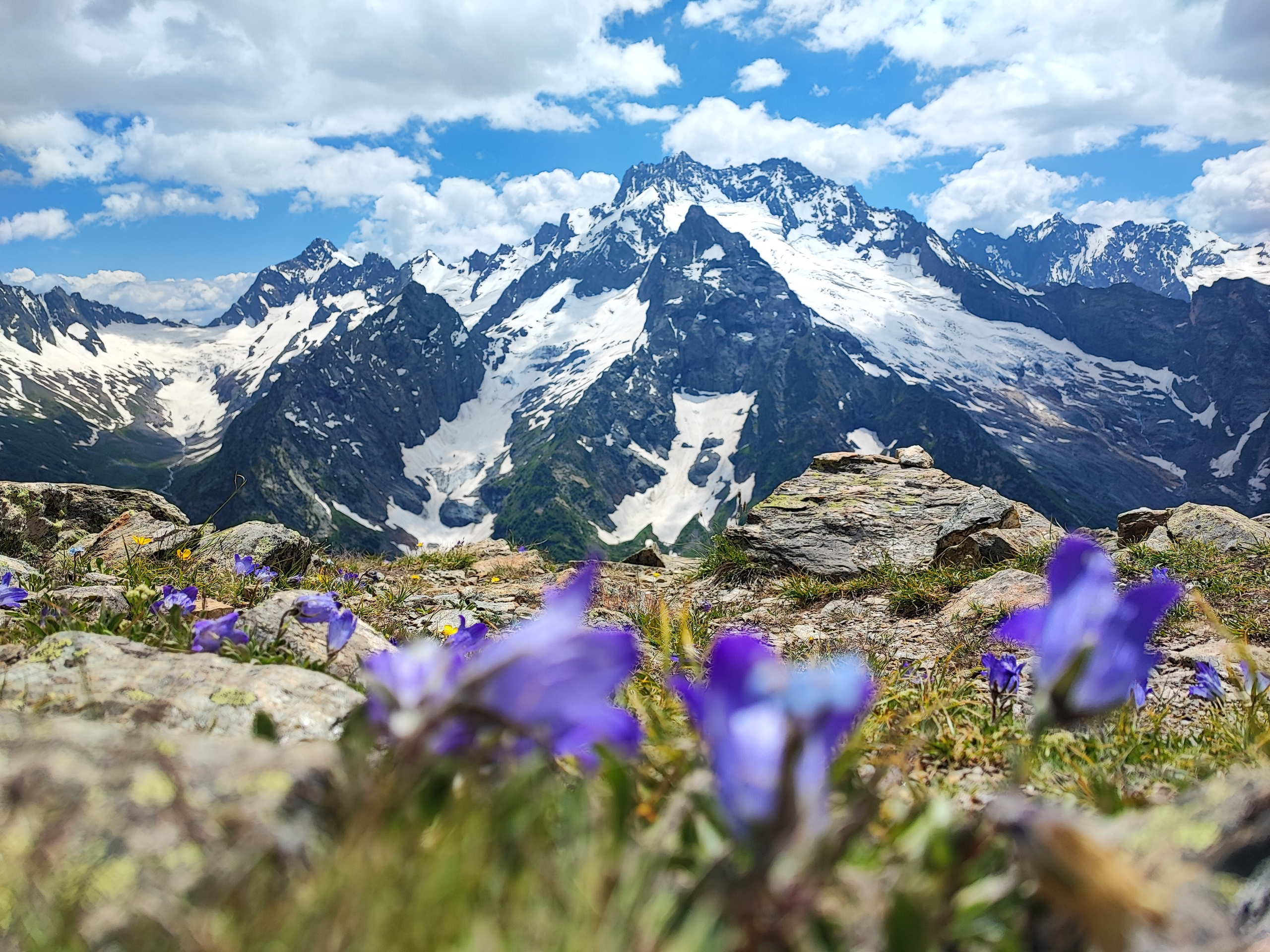 Намобилкус кавказский. Репортажный фотограф Алексей Пирязев