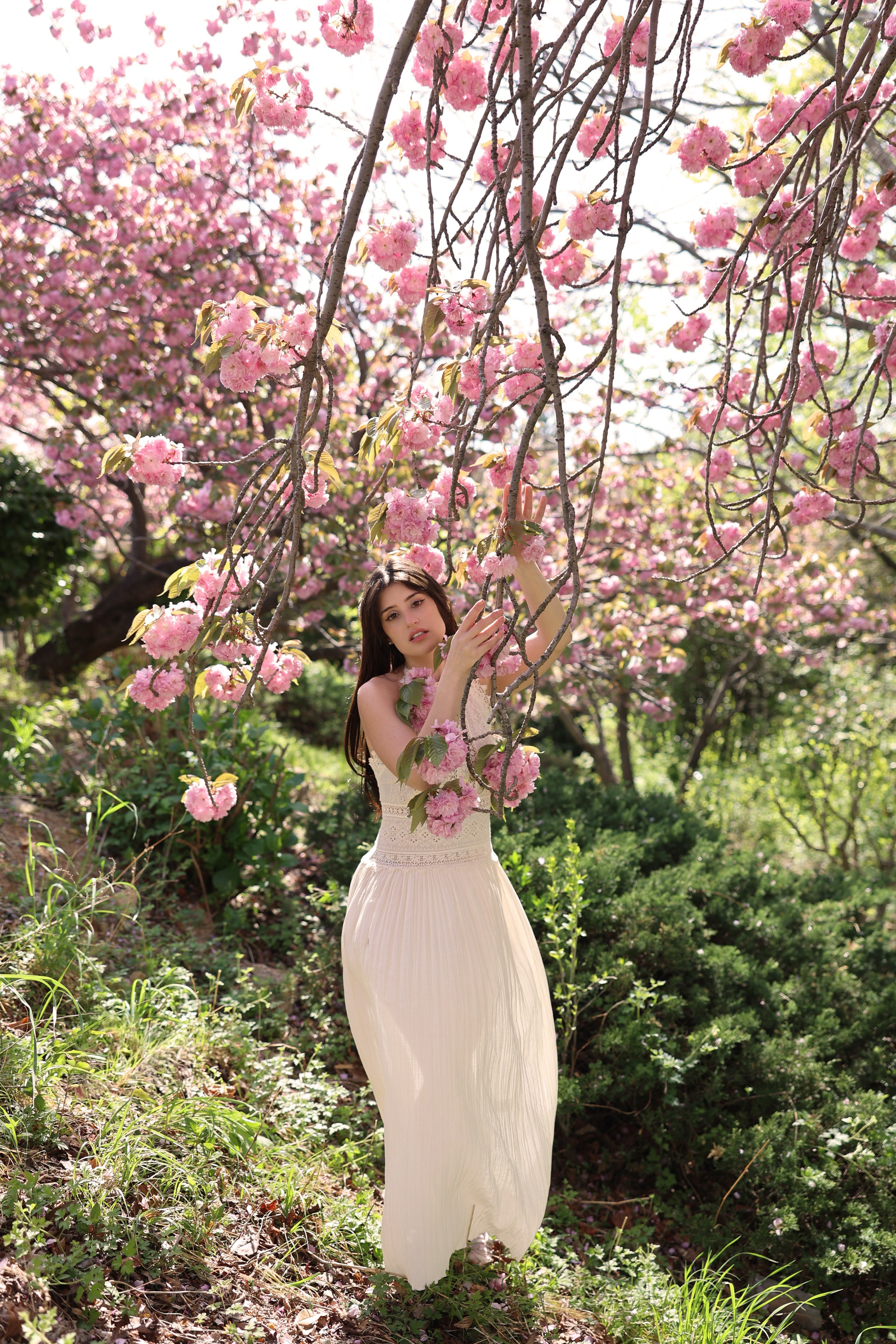 Busan Photographer. Photographer in Busan | Royal Cherry Blossom Solo Photoshoot