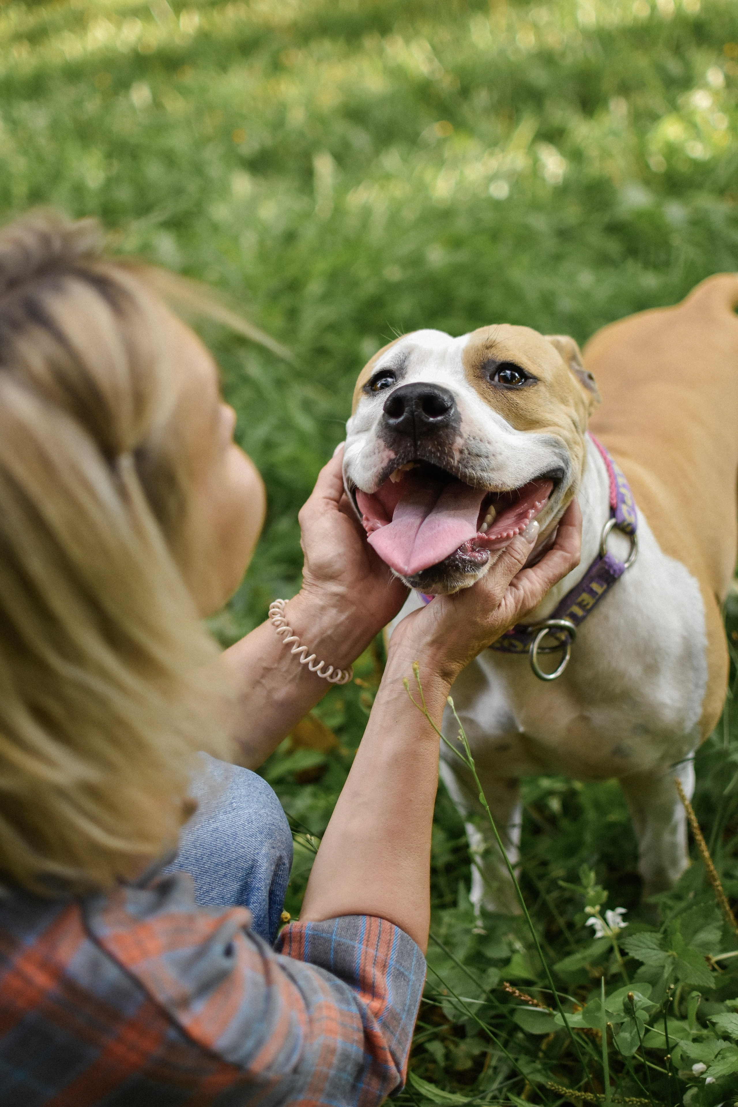 Стив, Стеша и Маша. Фотограф-анималист Ксения Шевцова|Москва