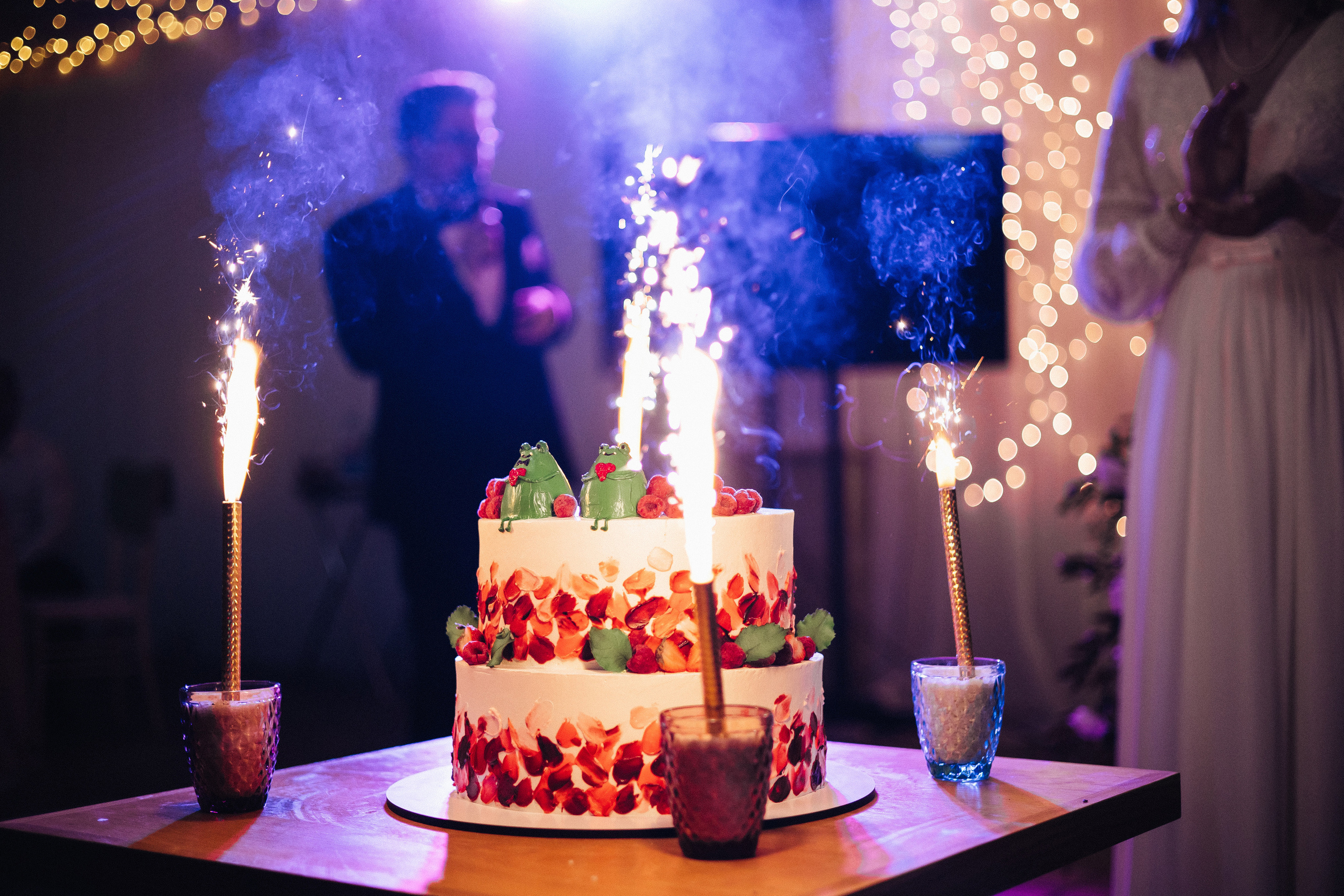 Дмитрий и Марина. Организация и координация свадебных и семейных торжеств