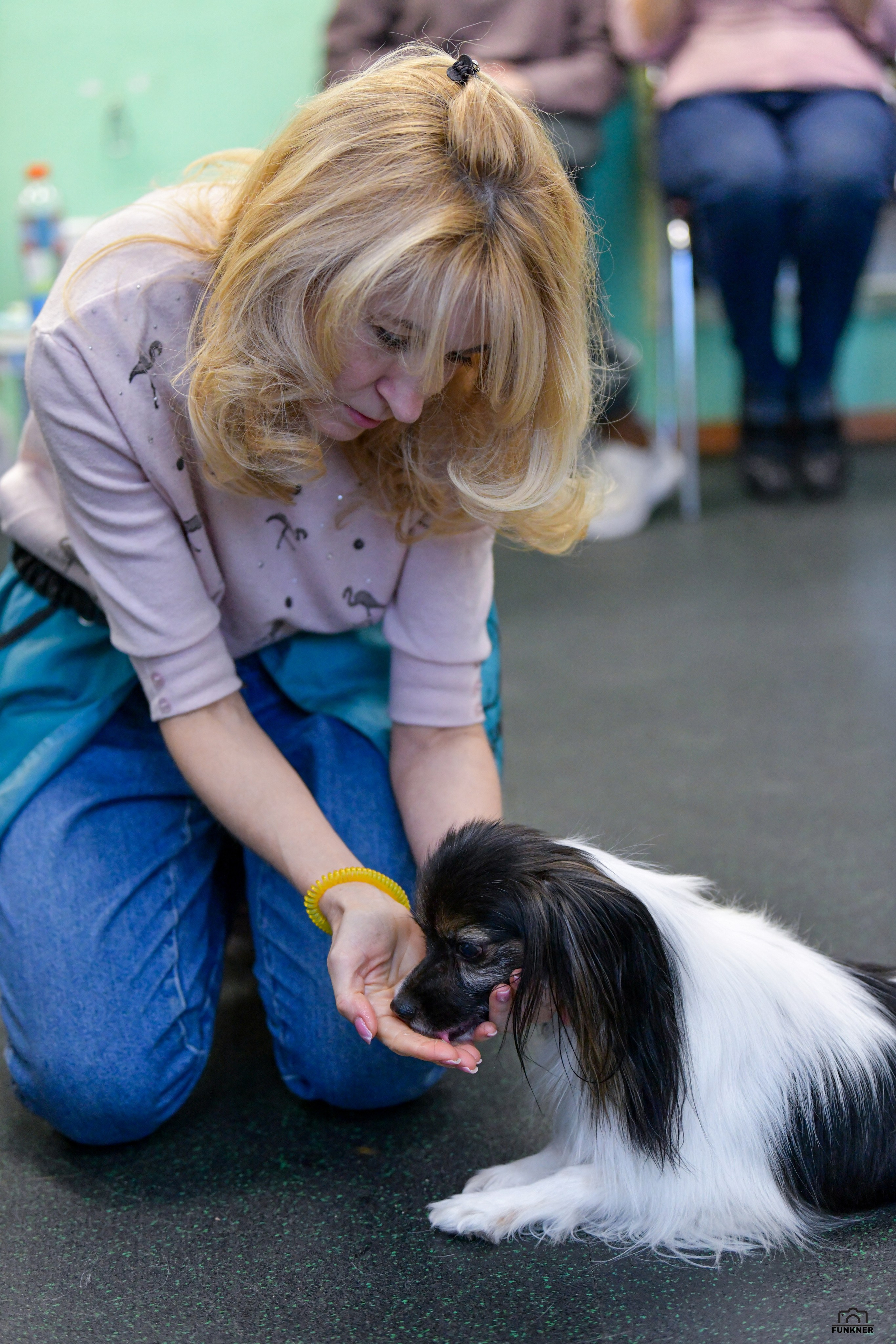 Кинологический клуб «Бодрый хвост». Свой взгляд через объектив