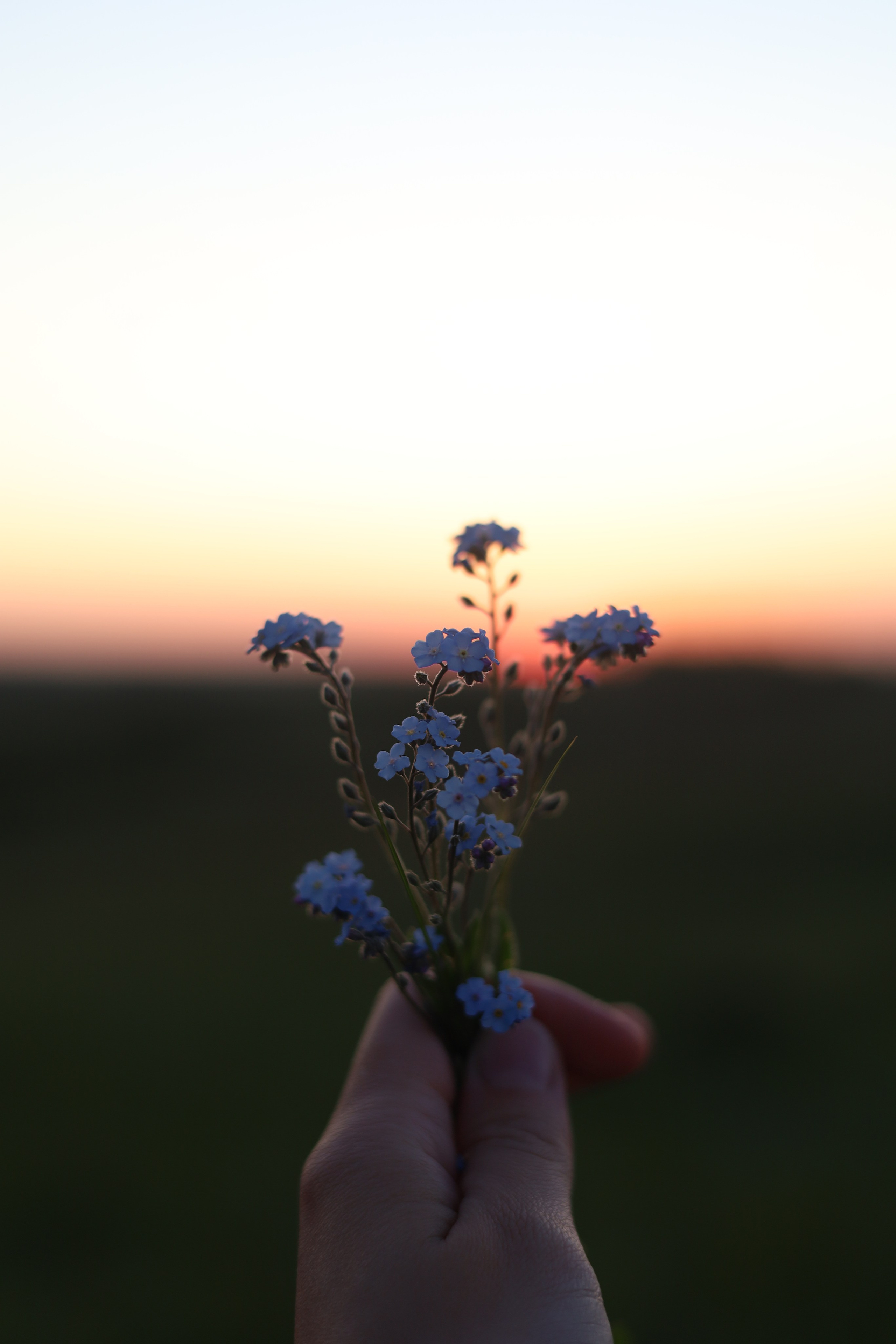 Wallpaper. Семейный фотограф Ирина Крючкова