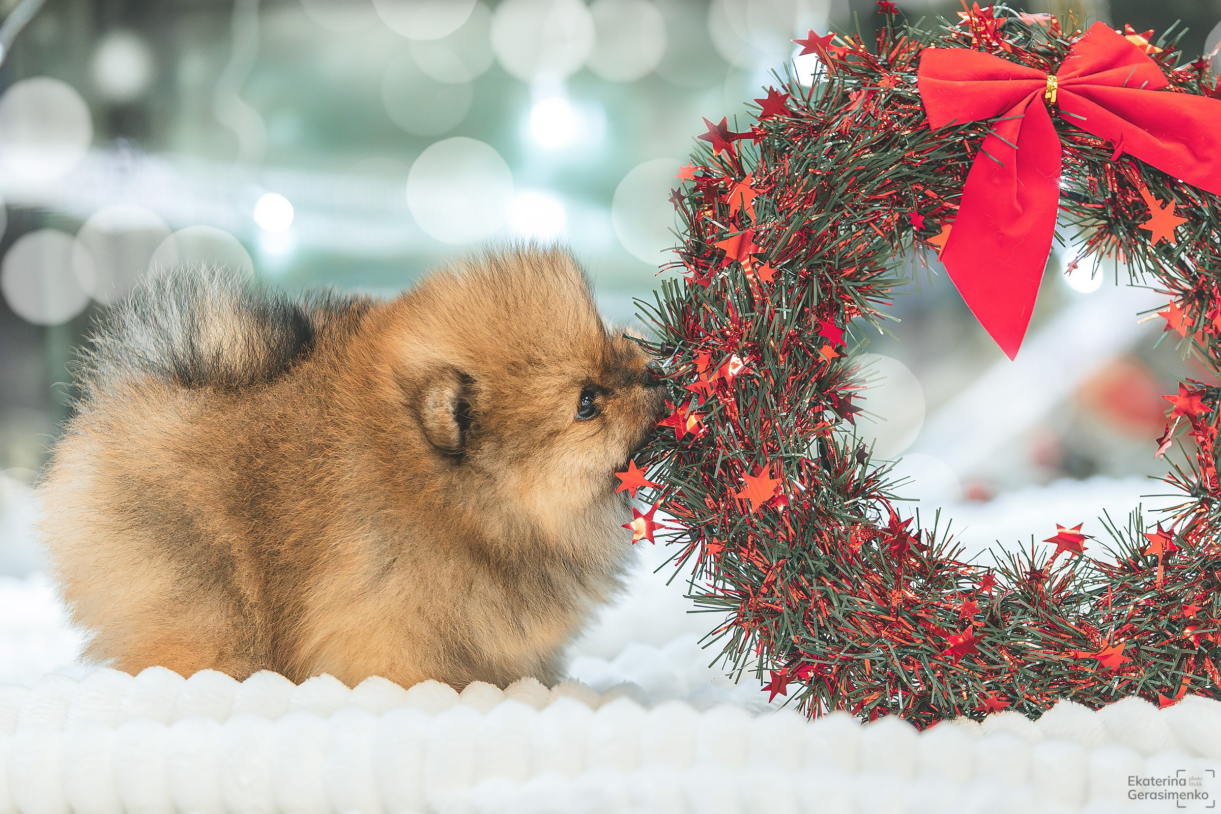 Фотодень. Htykk_photo