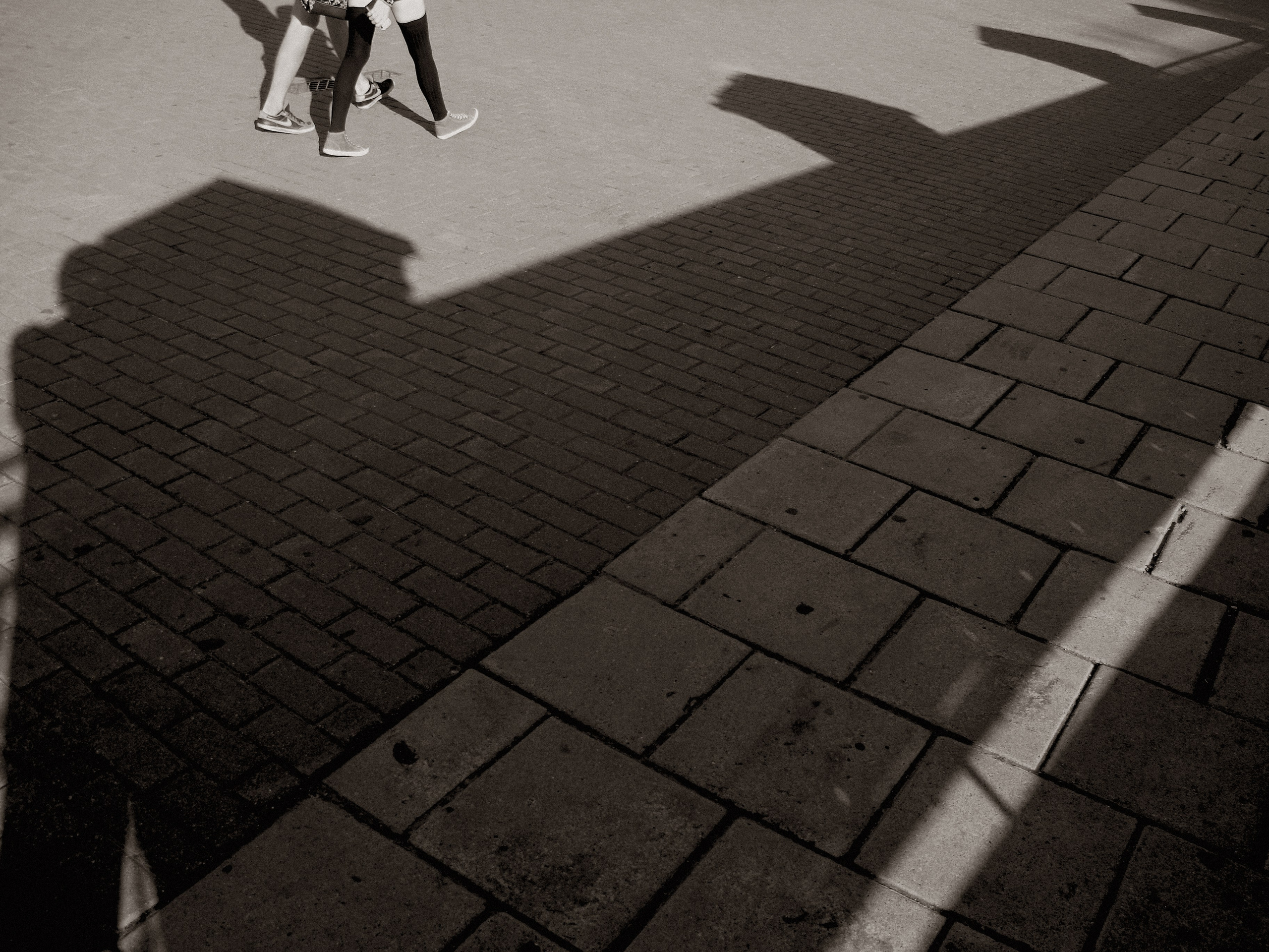 Жанр. Фотограф Лагутин Анатолий