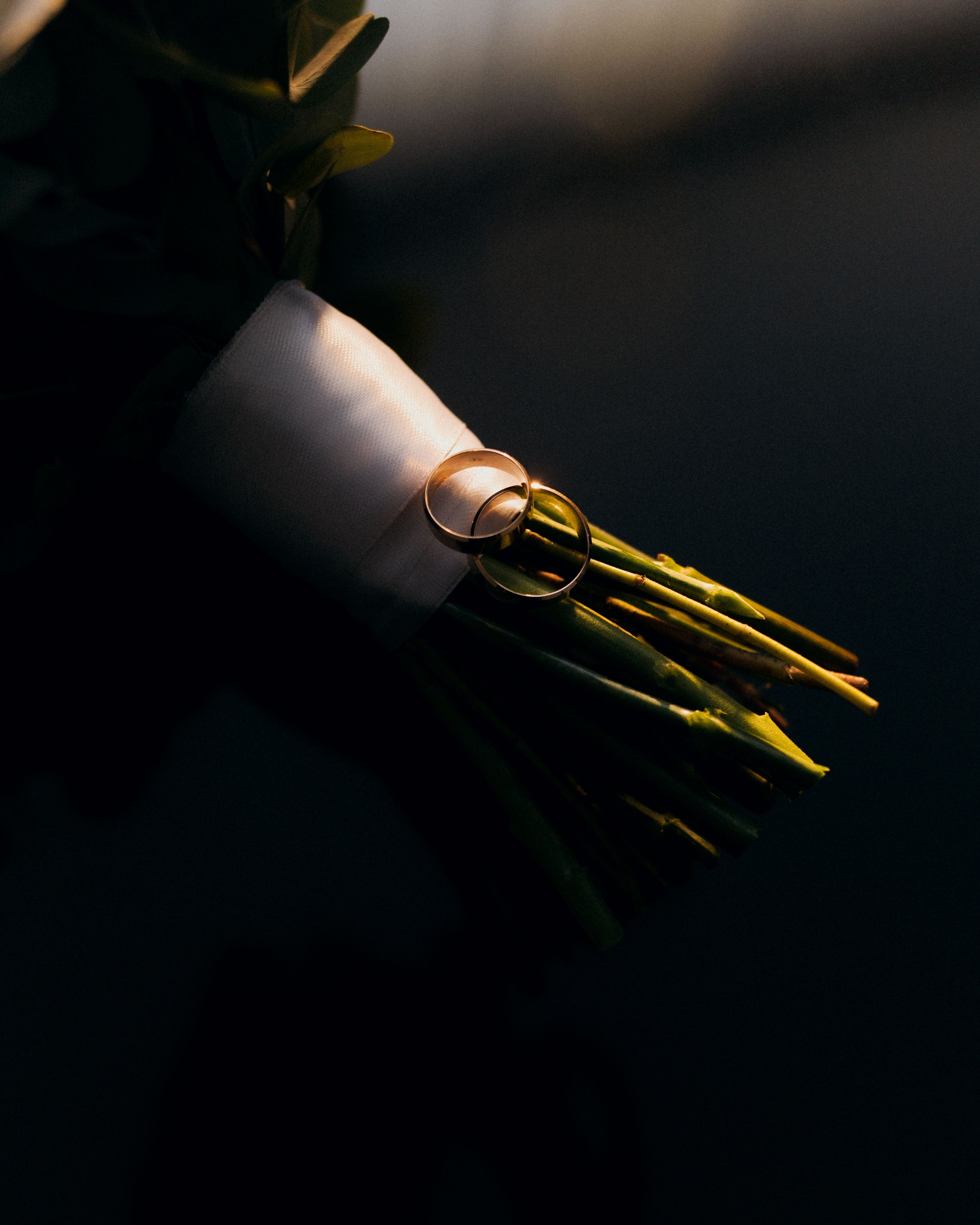 Павел и Екатерина. Катерина Аникеева | Фотограф | Екатеринбург