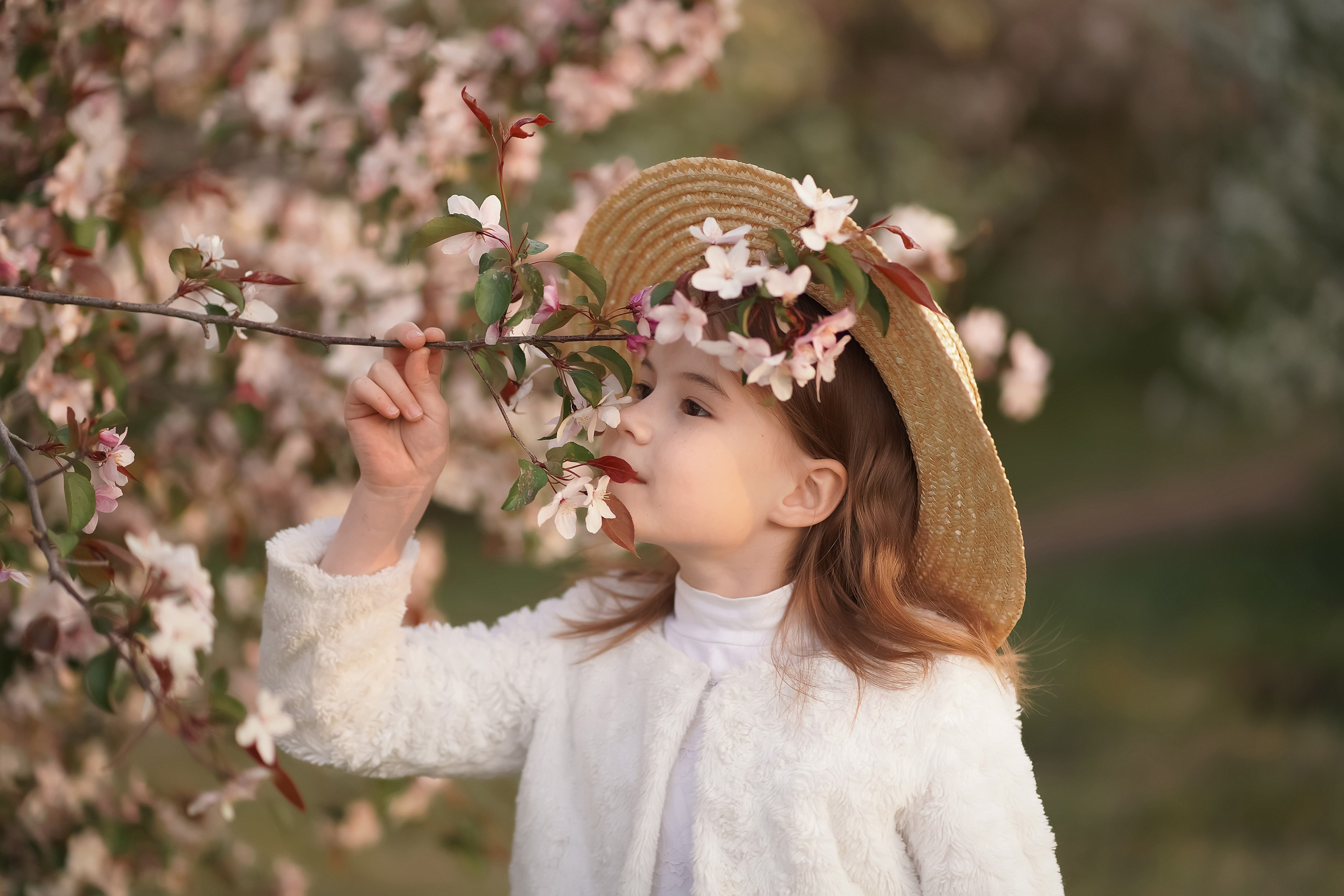 Цветение. Фотограф Татьяна Митрофанова