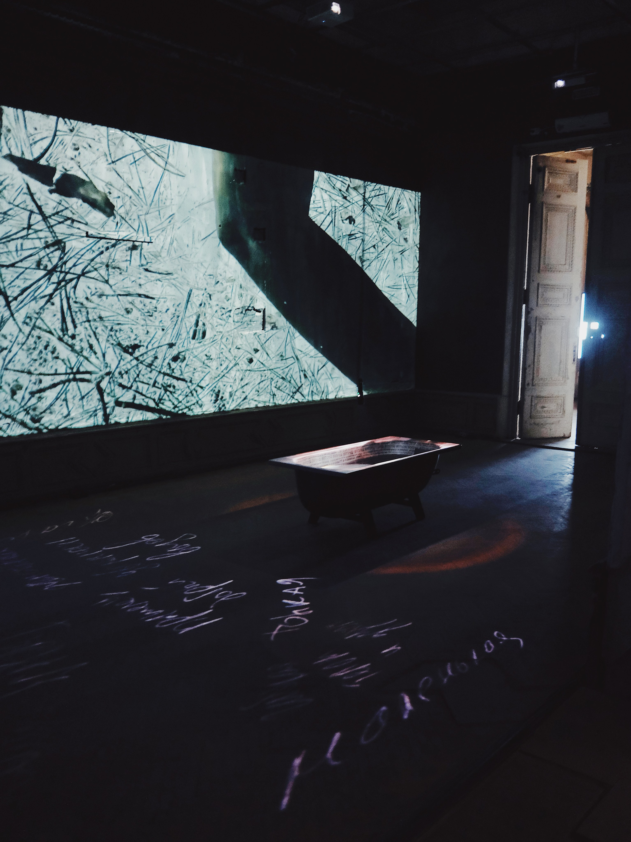 Inside Out (2024). Междисциплинарный художник и режиссер София Меликова