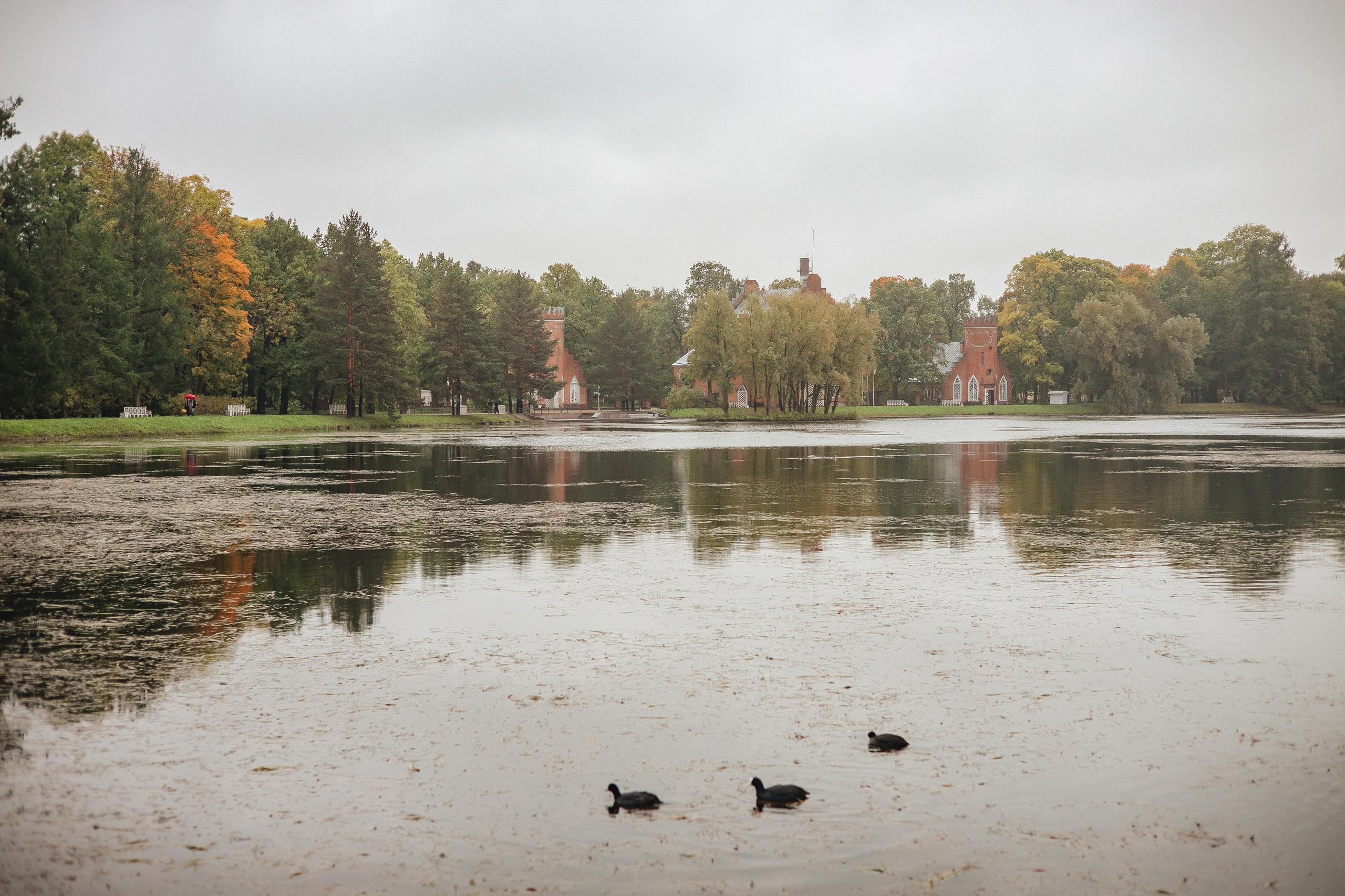 Антон & Даша. Царское Село, осень. Свадебный и семейный фотограф Пушкин Царское Село СПБ Питер Санкт-Петербург и Рязань Ольга Козлова