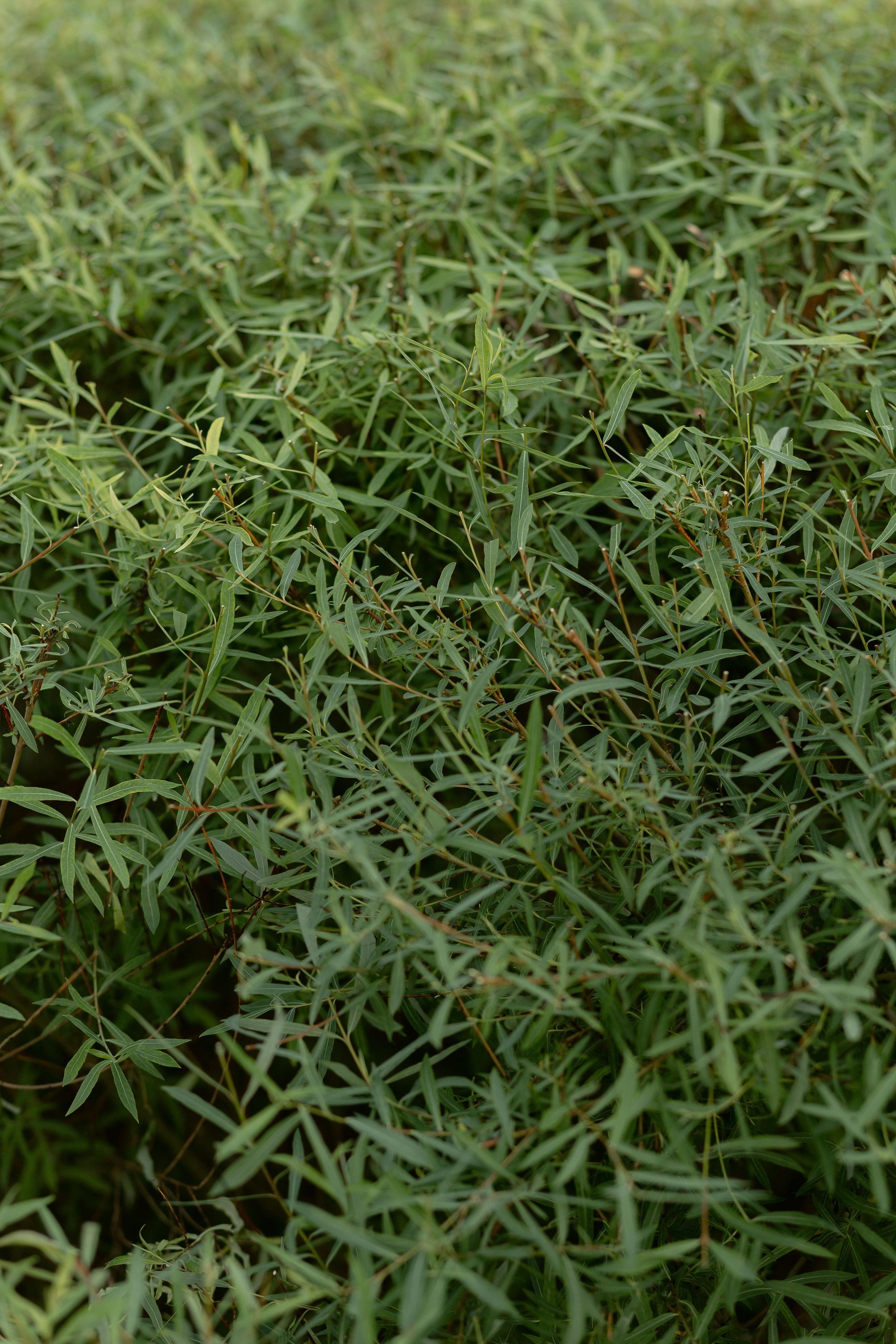 Эльдар & Марина