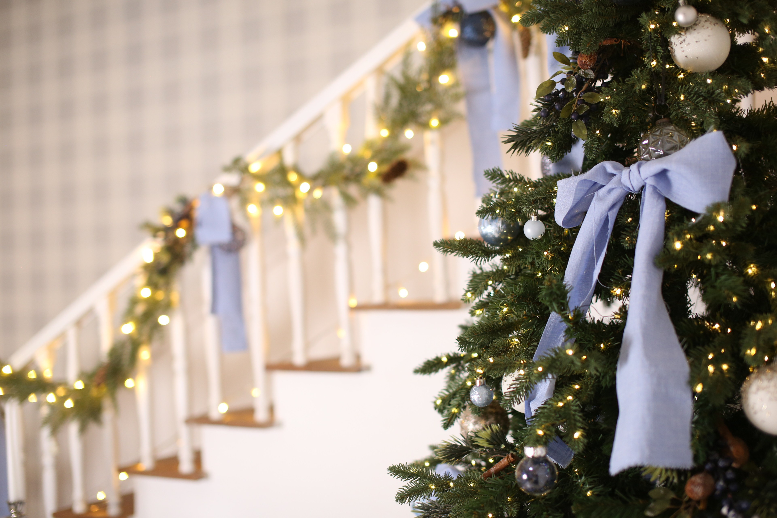 «Melissa» — Семейная фотостудия в Абакане