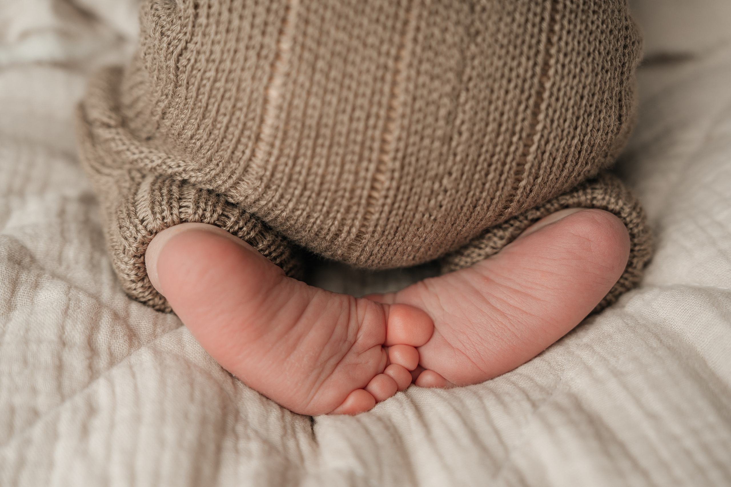 Newborn. Фотограф новорожденных в Москве, Зеленограде, МО, Дмитриева Дарья