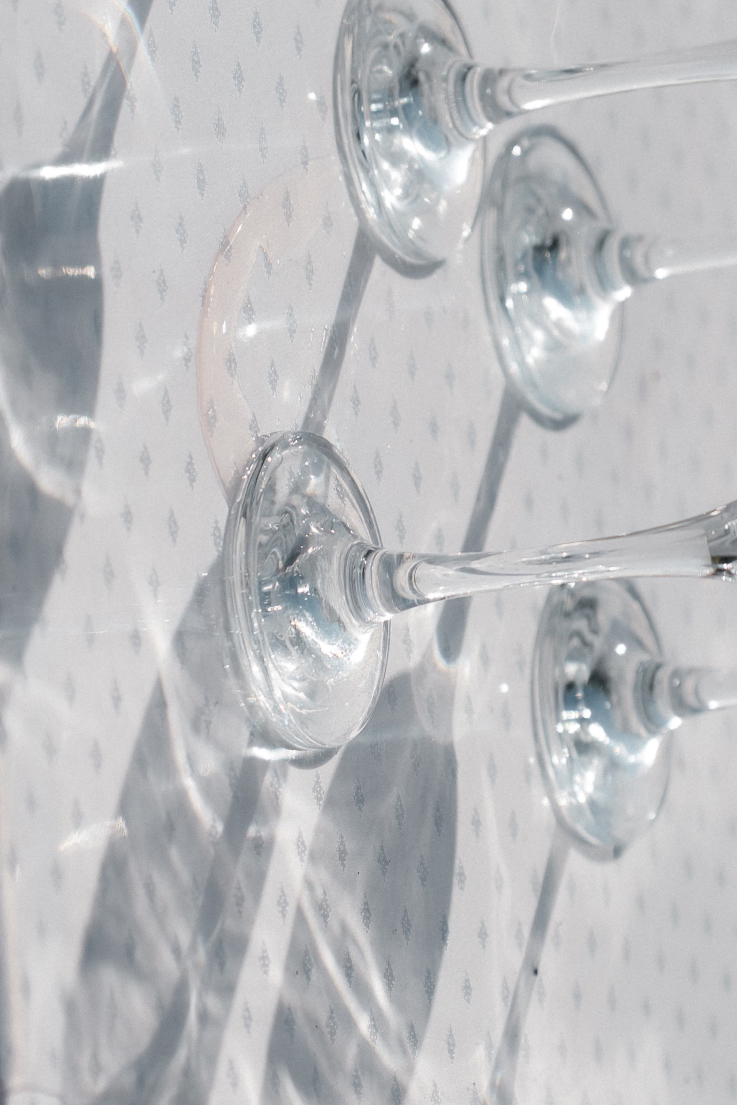 Владимир и Ева. Фотограф Новосибирск Вероника Вишневская