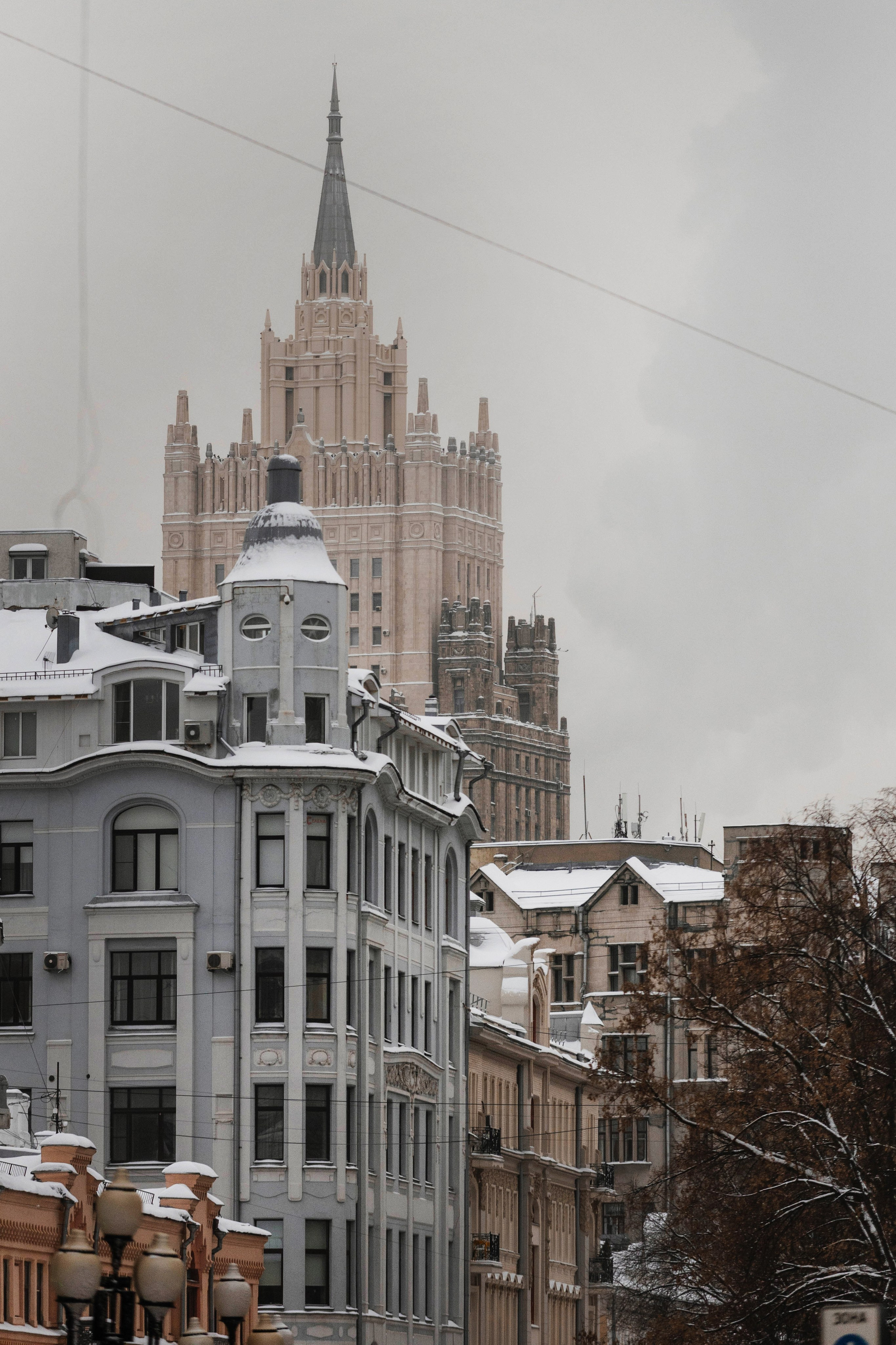 Москва / Даша и Тикки. Фотограф Кузина Вера