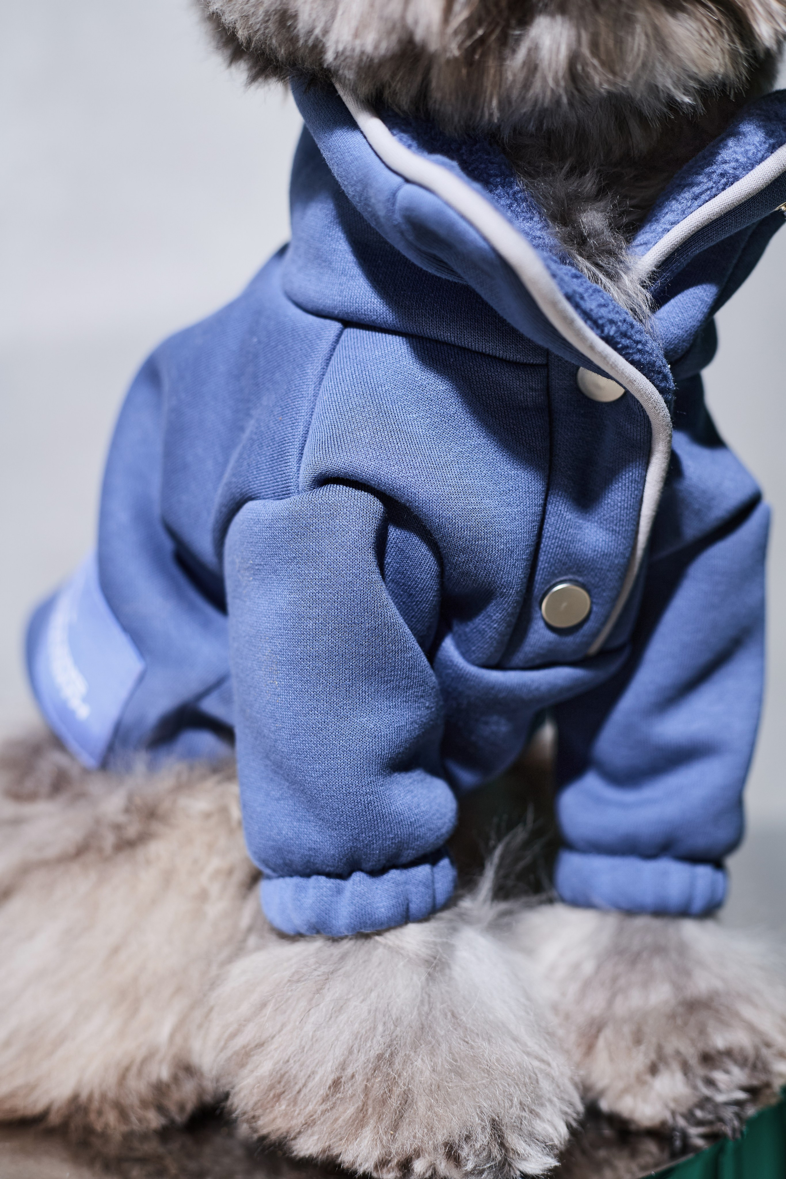 Big Lap Club. Фотограф|Москва-СПб| Анастасия Рябинина