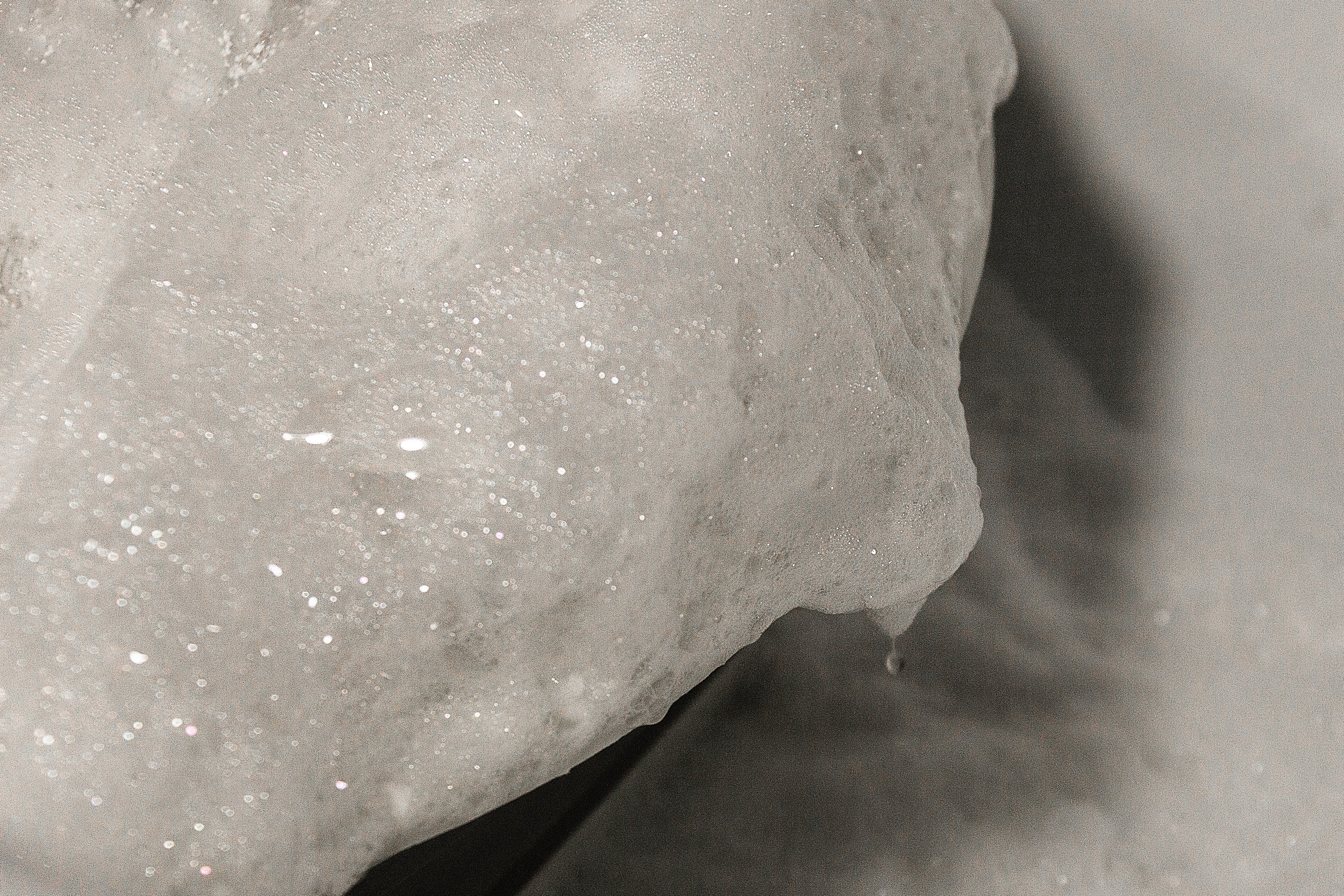 Проект «366»|2024|Фото каждый день. LENA GRACE photographer ||ЛЕНА ГРЭЙС фотограф