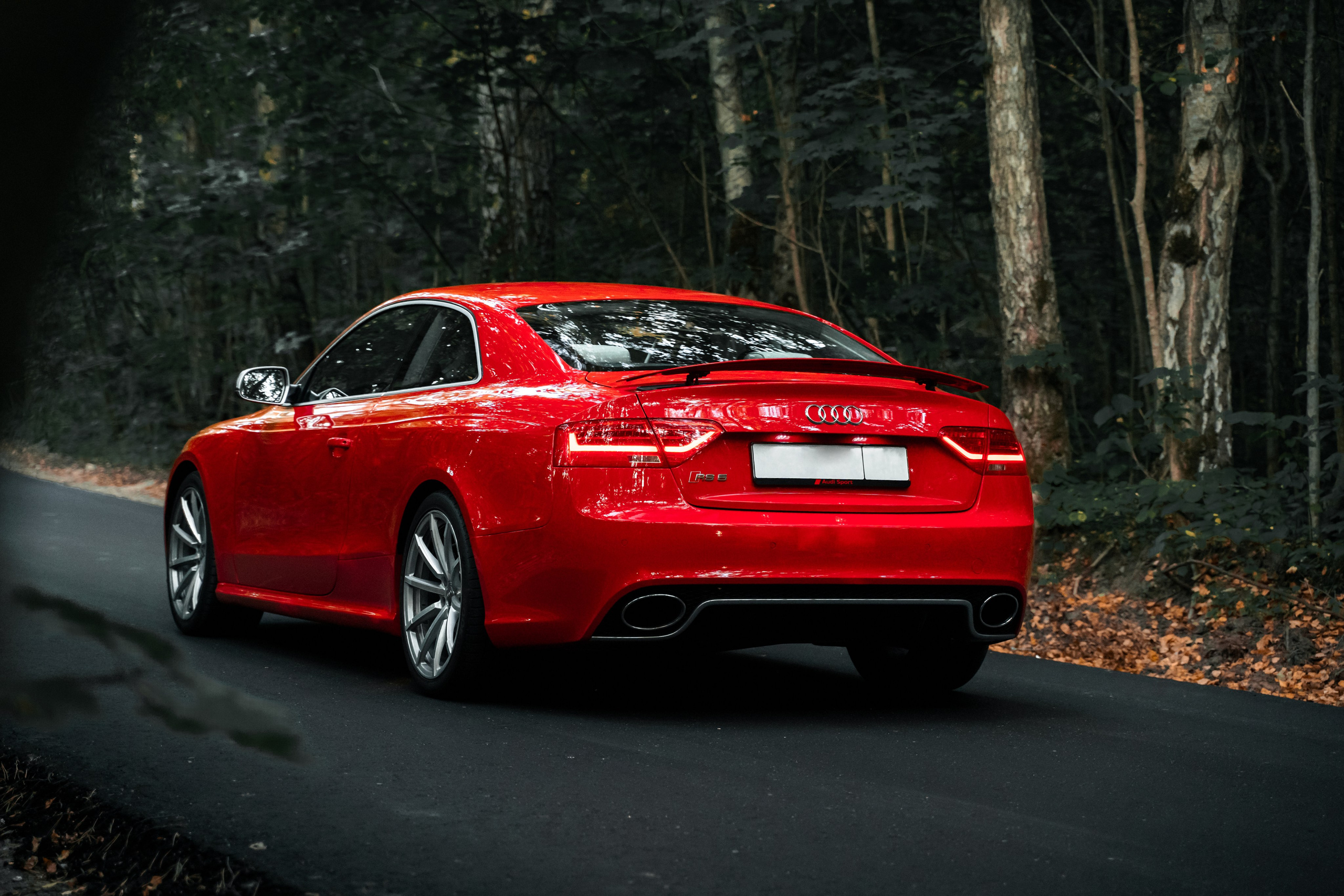 Audi RS5. Vlad Trykov