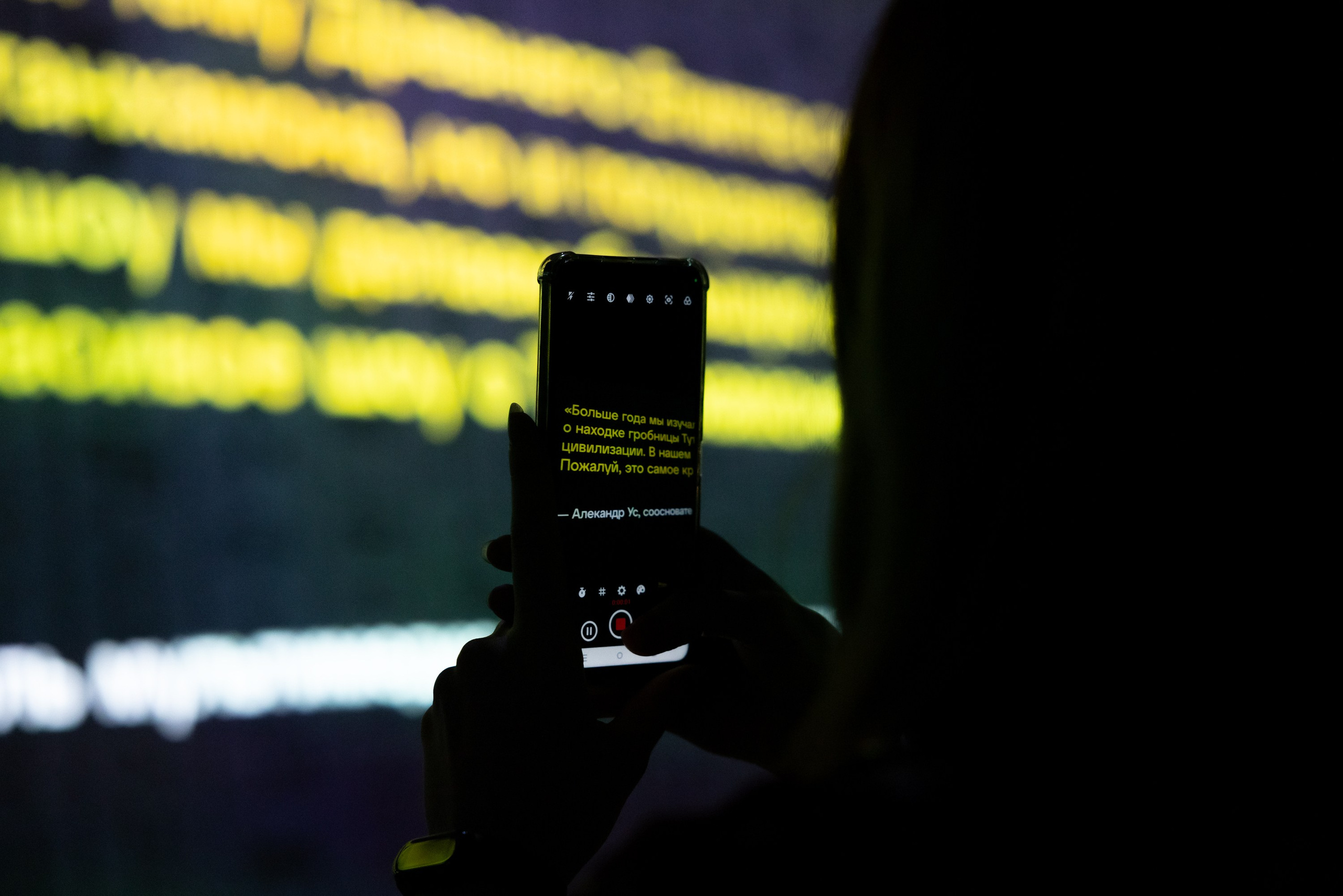 Выставка «Тутанхамон» в Luminar-X. Виктория Зудина — фотограф в Москве