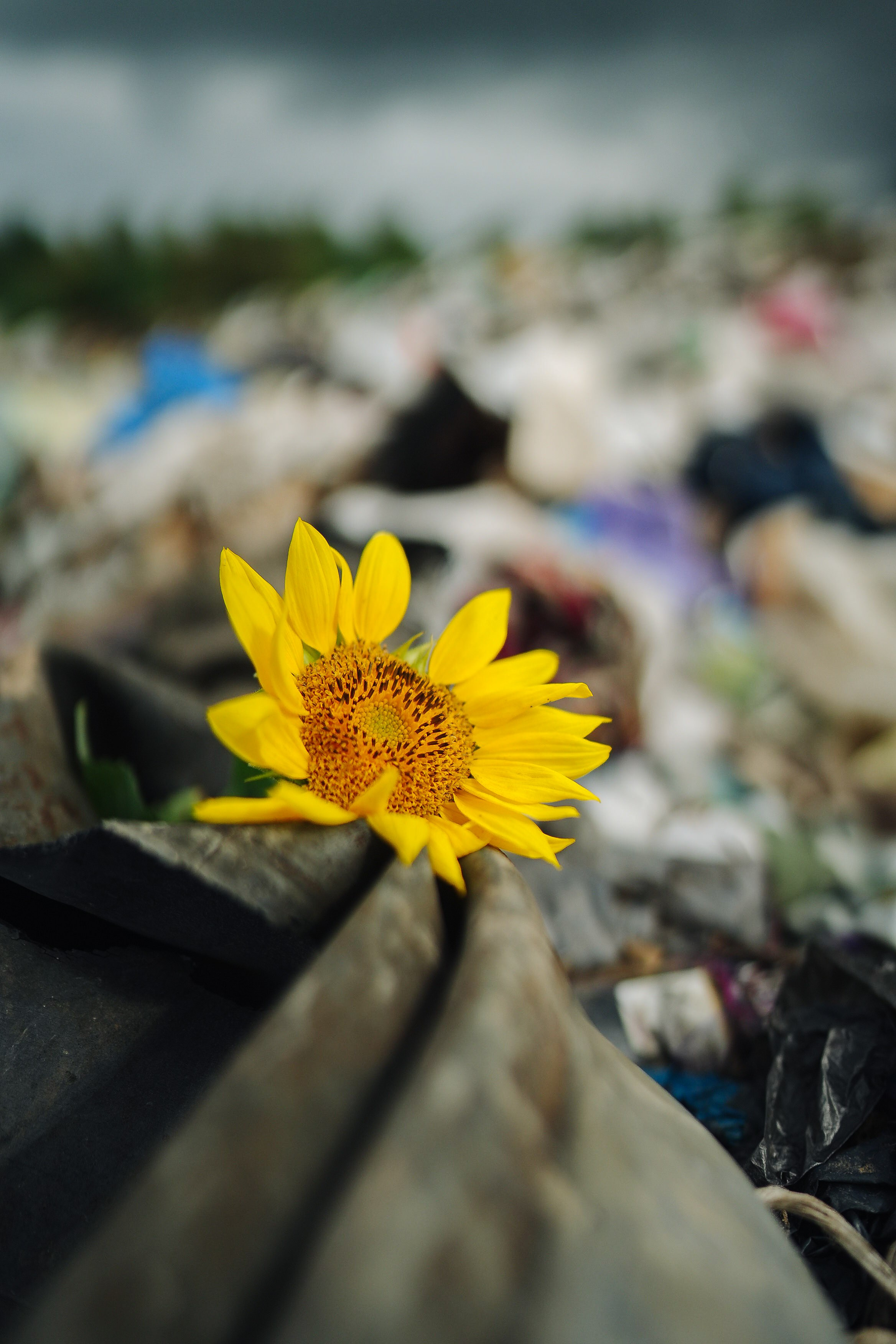 МусорАрт. Фотоким