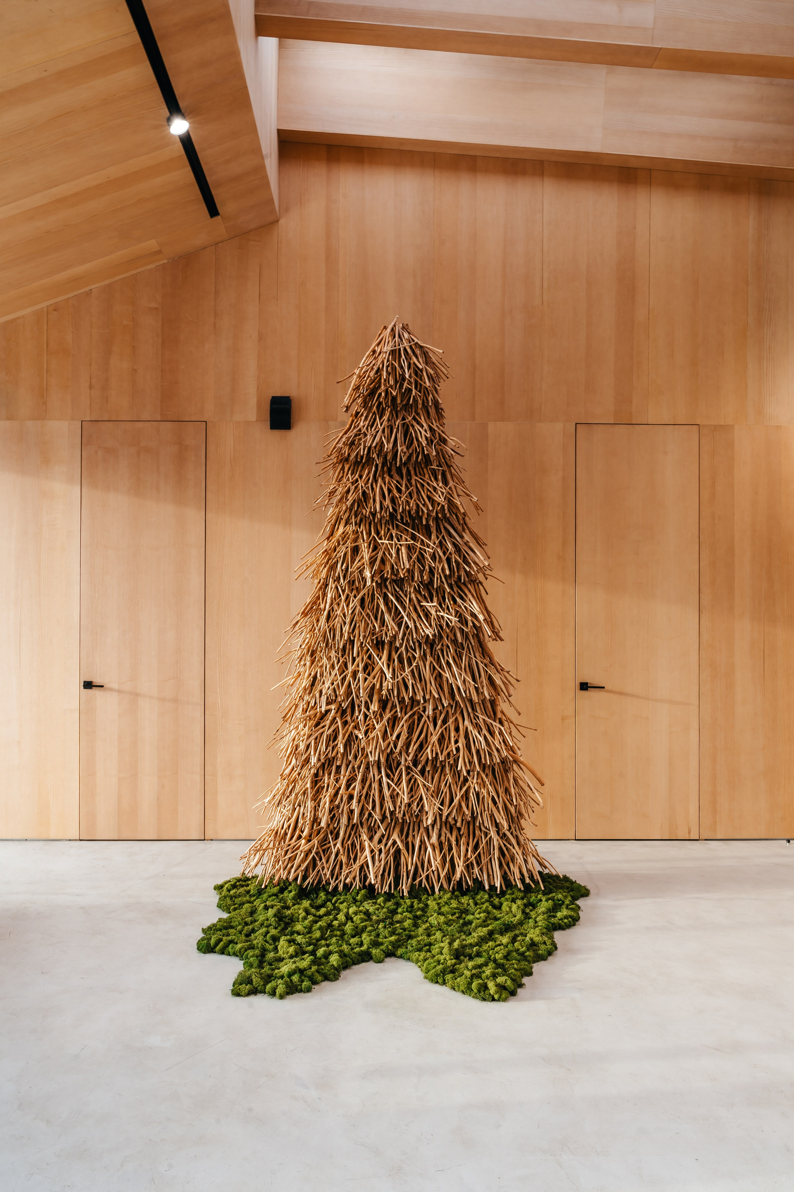 FØRST, FORMA. @tomrus: Рустам Шагиморданов — фотограф