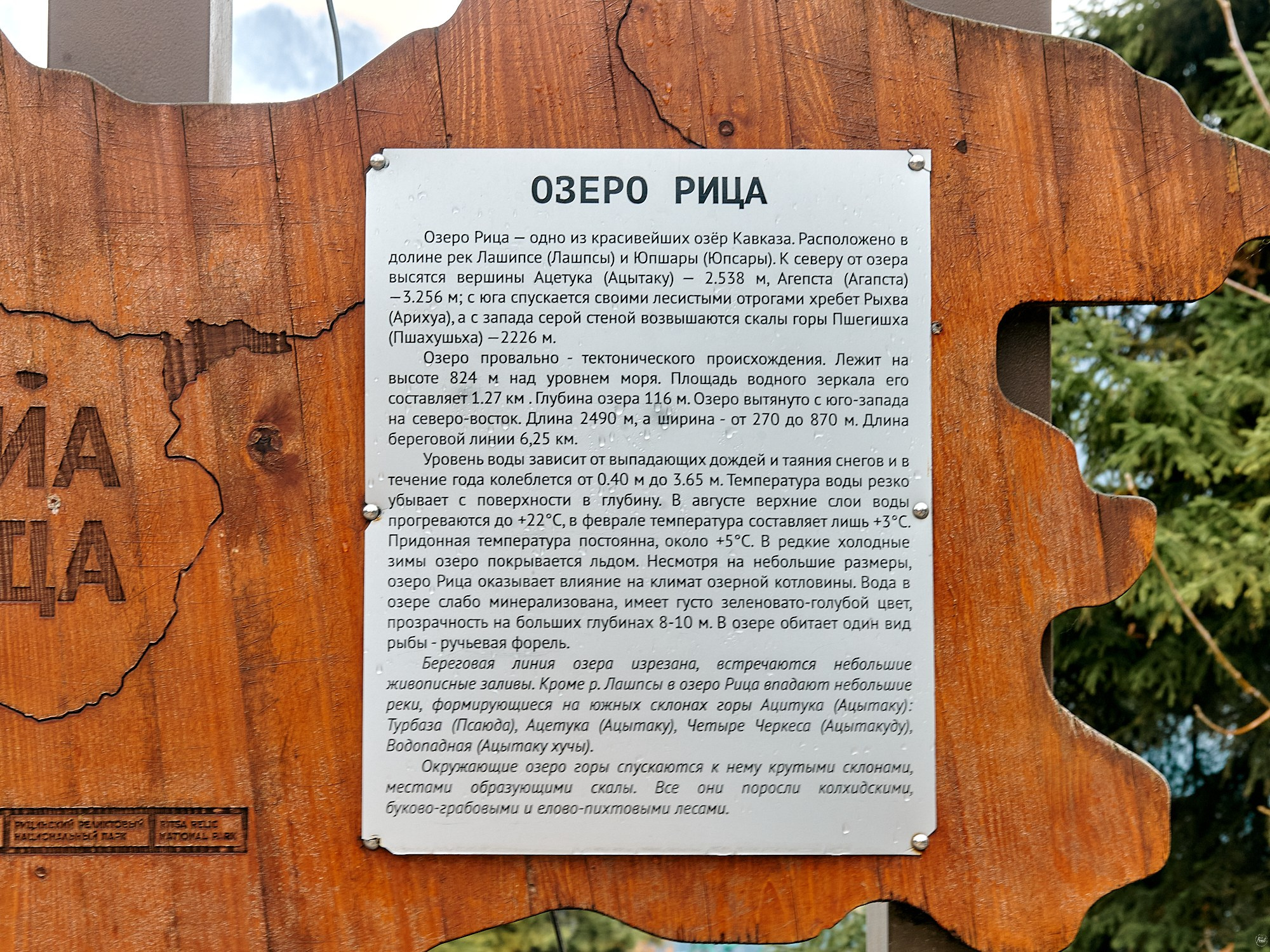 Озеро Рица, Абхазия. Декабрь 2024. Фотографии отовсюду и обо всем