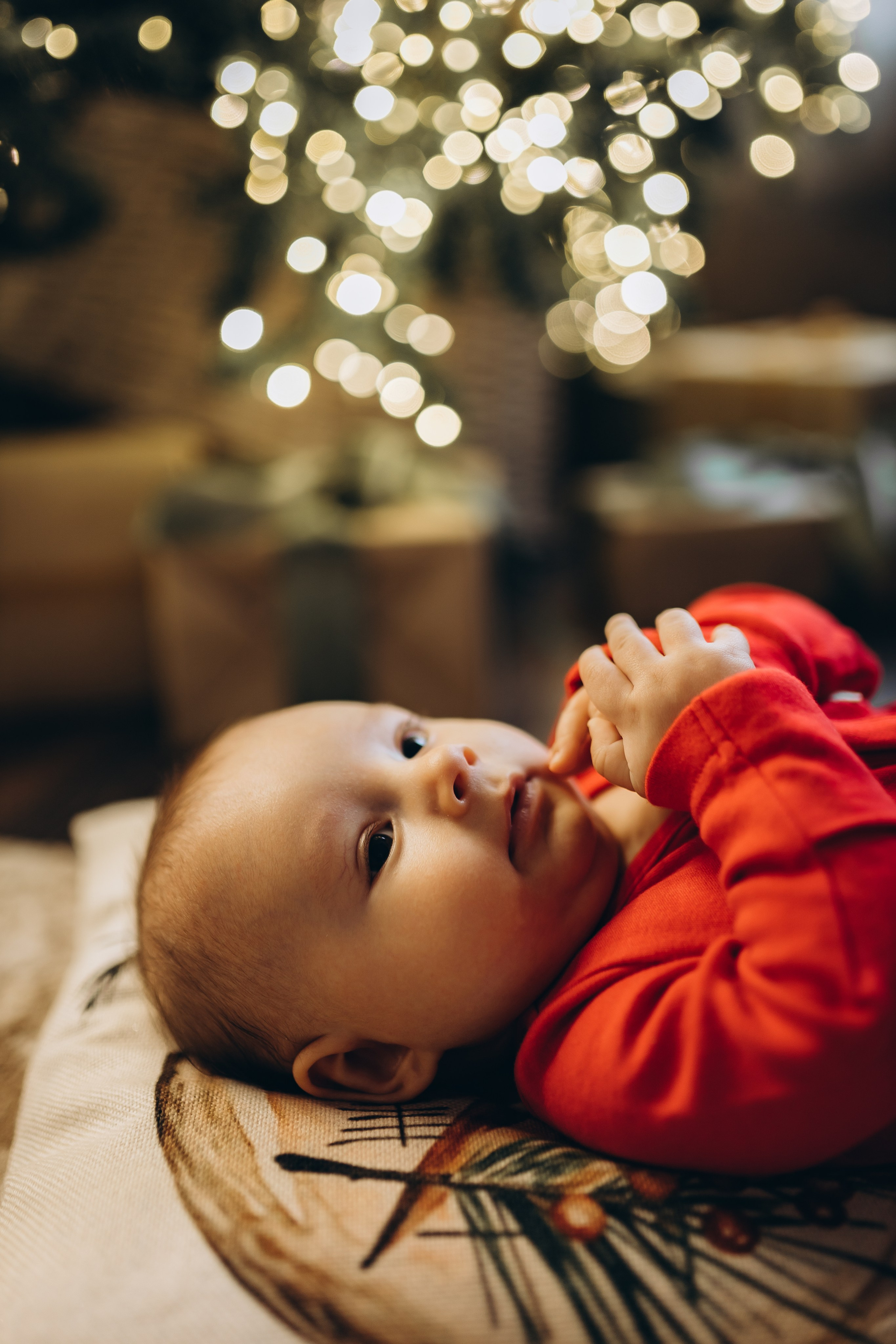 Новогодняя. Ph.nataluuna ФОТОГРАФ СЕРГИЕВ ПОСАД