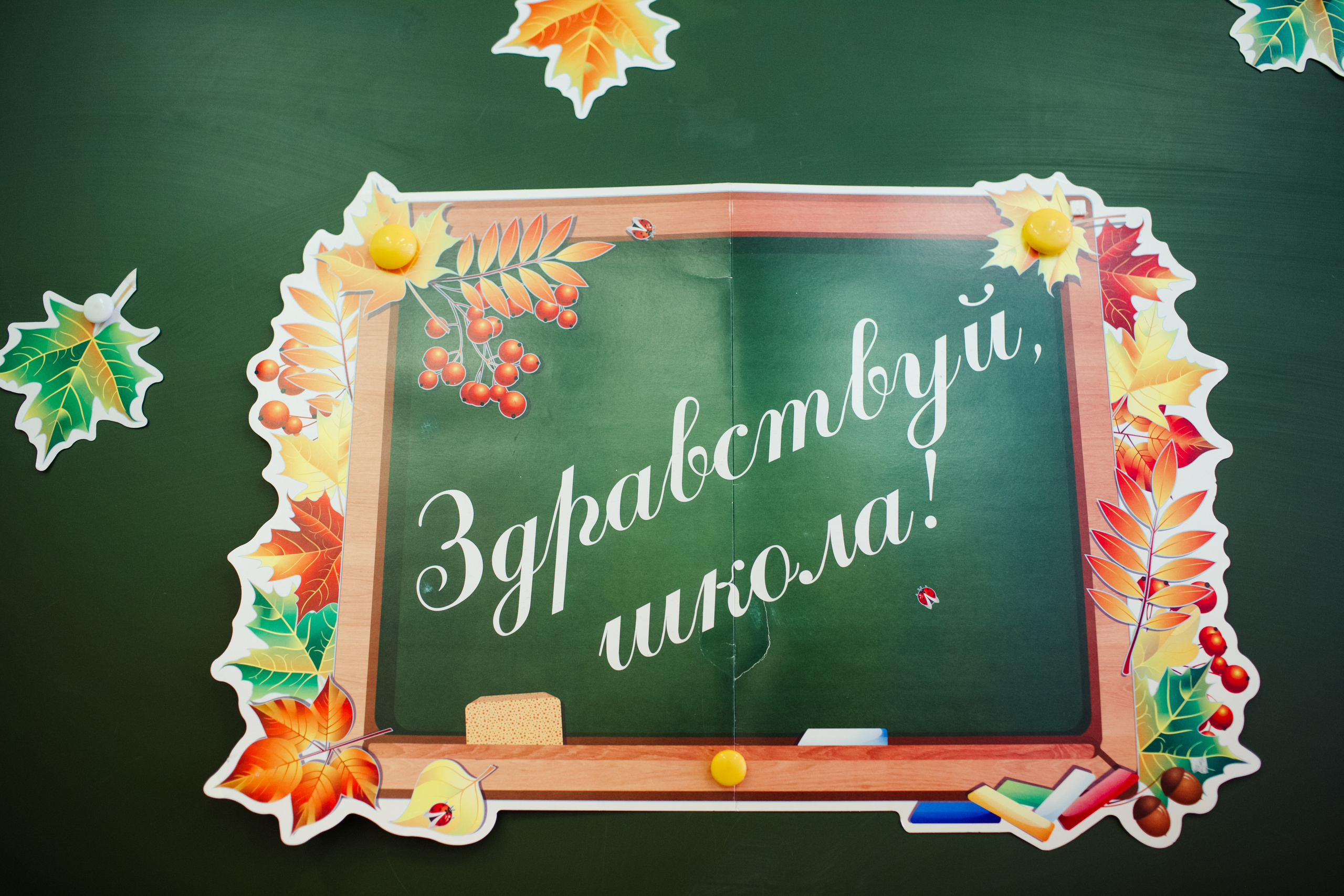 1 сентября. Детский фотограф, фотограф на детский праздник Екатерина Огарская