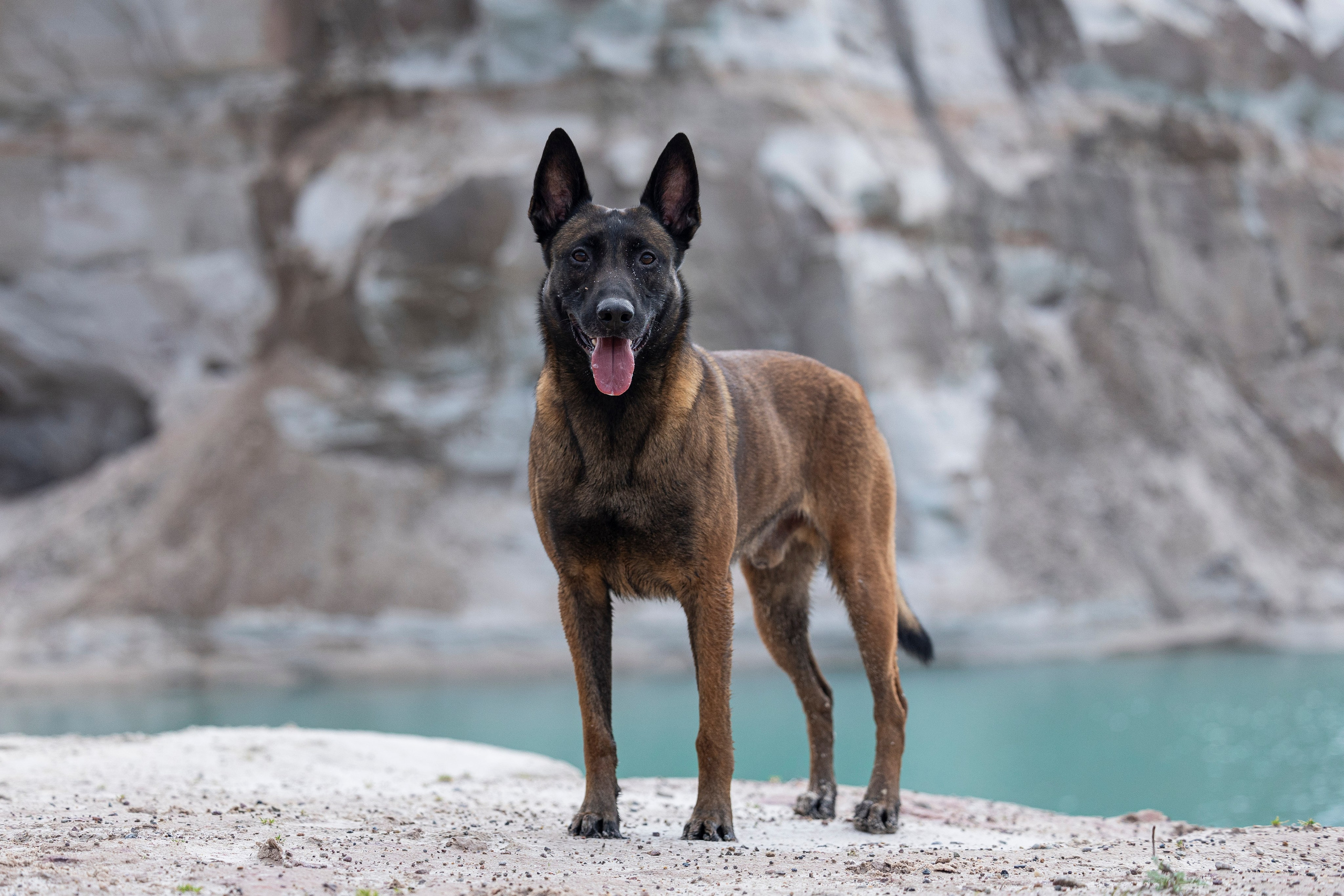 Лужские Мальдивы. Фотограф-анималист Анна Маринич