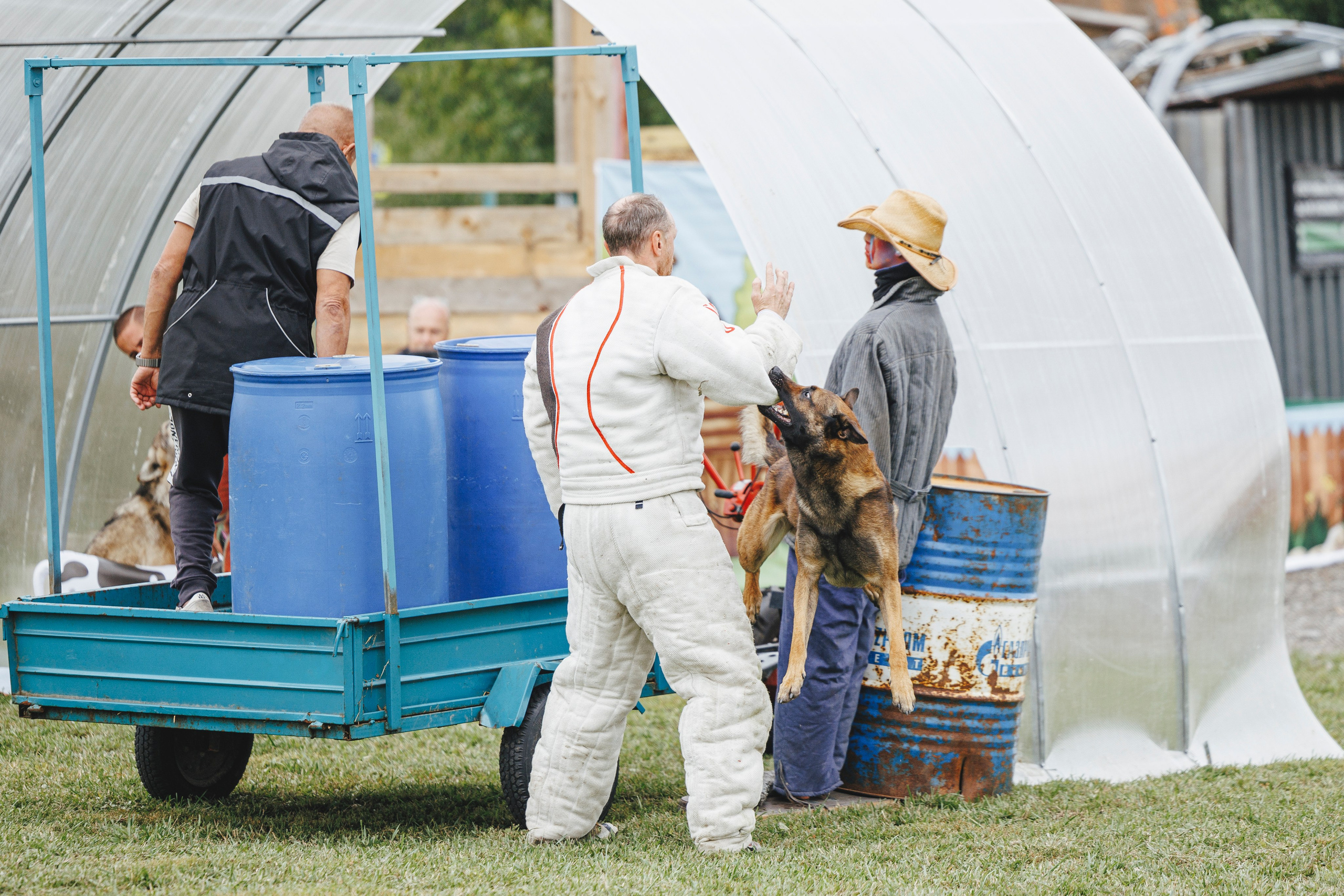 08.08.25-10.08.25 ЧР по мондьорингу г. Вологда. Фотограф-анималист Анна Маринич