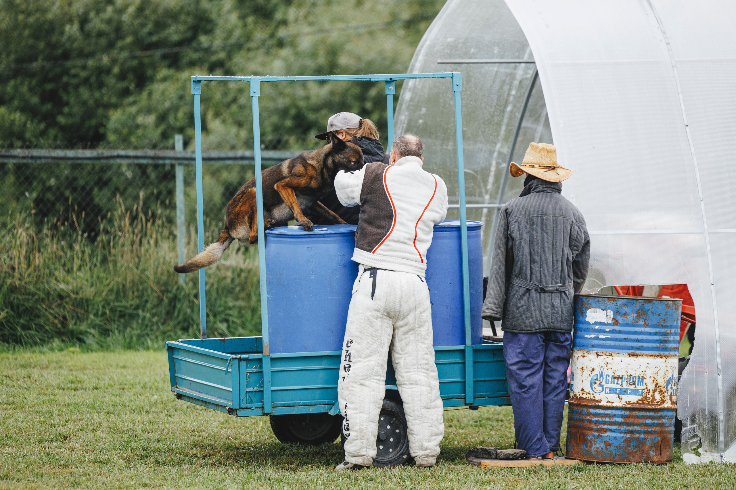 08.08.25-10.08.25 ЧР по мондьорингу г. Вологда. Фотограф-анималист Анна Маринич