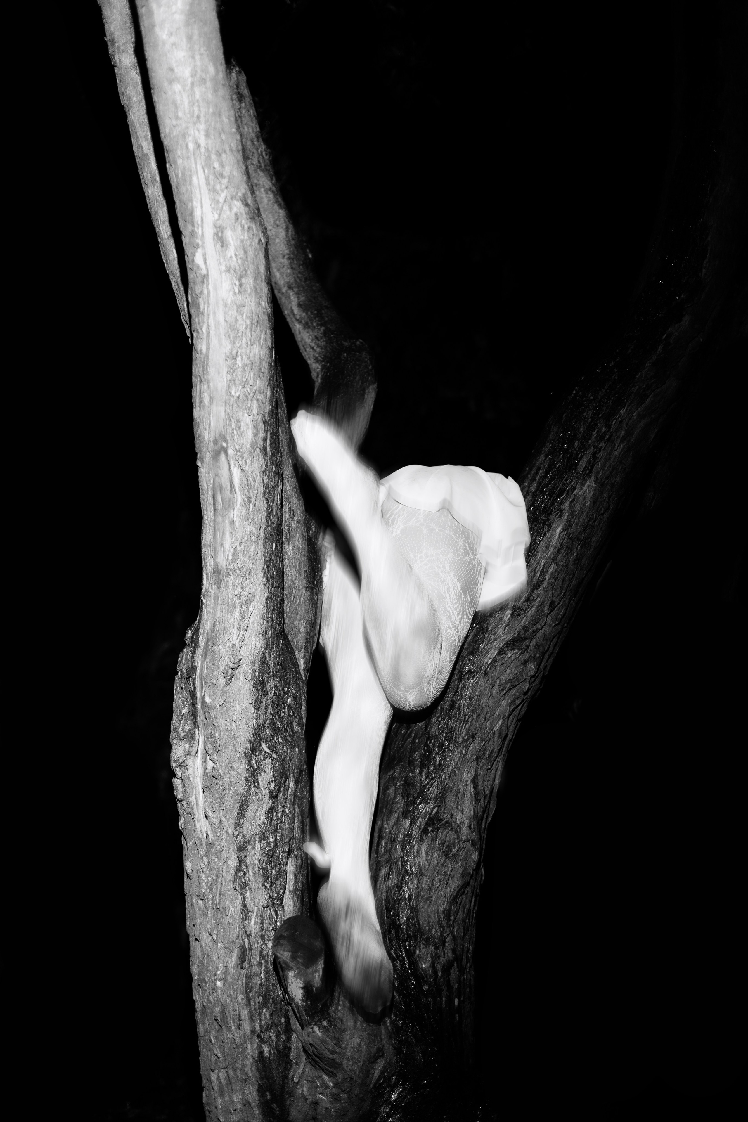 Dark. Фотограф Максим Капырин