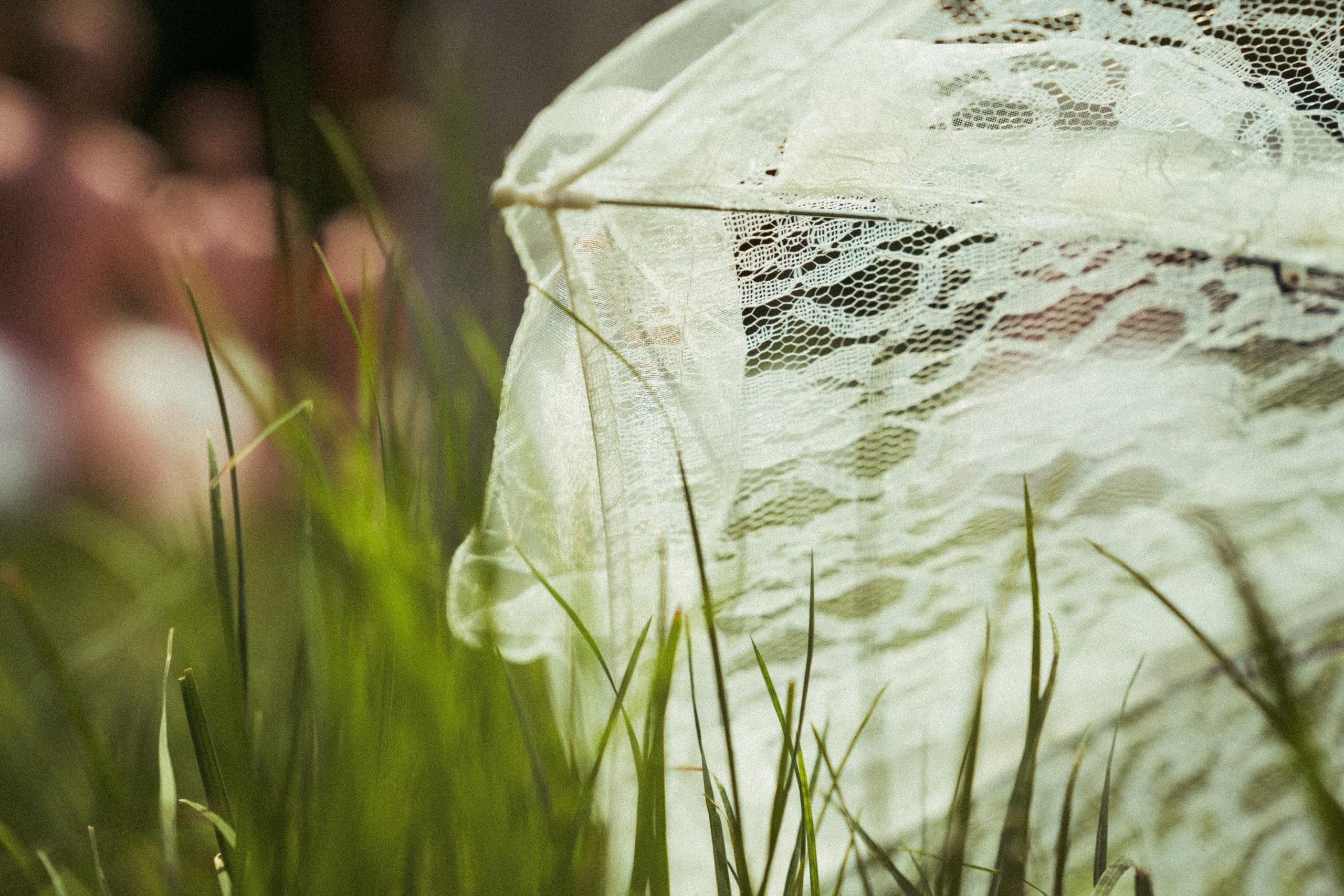 Творческие Проекты. Фото