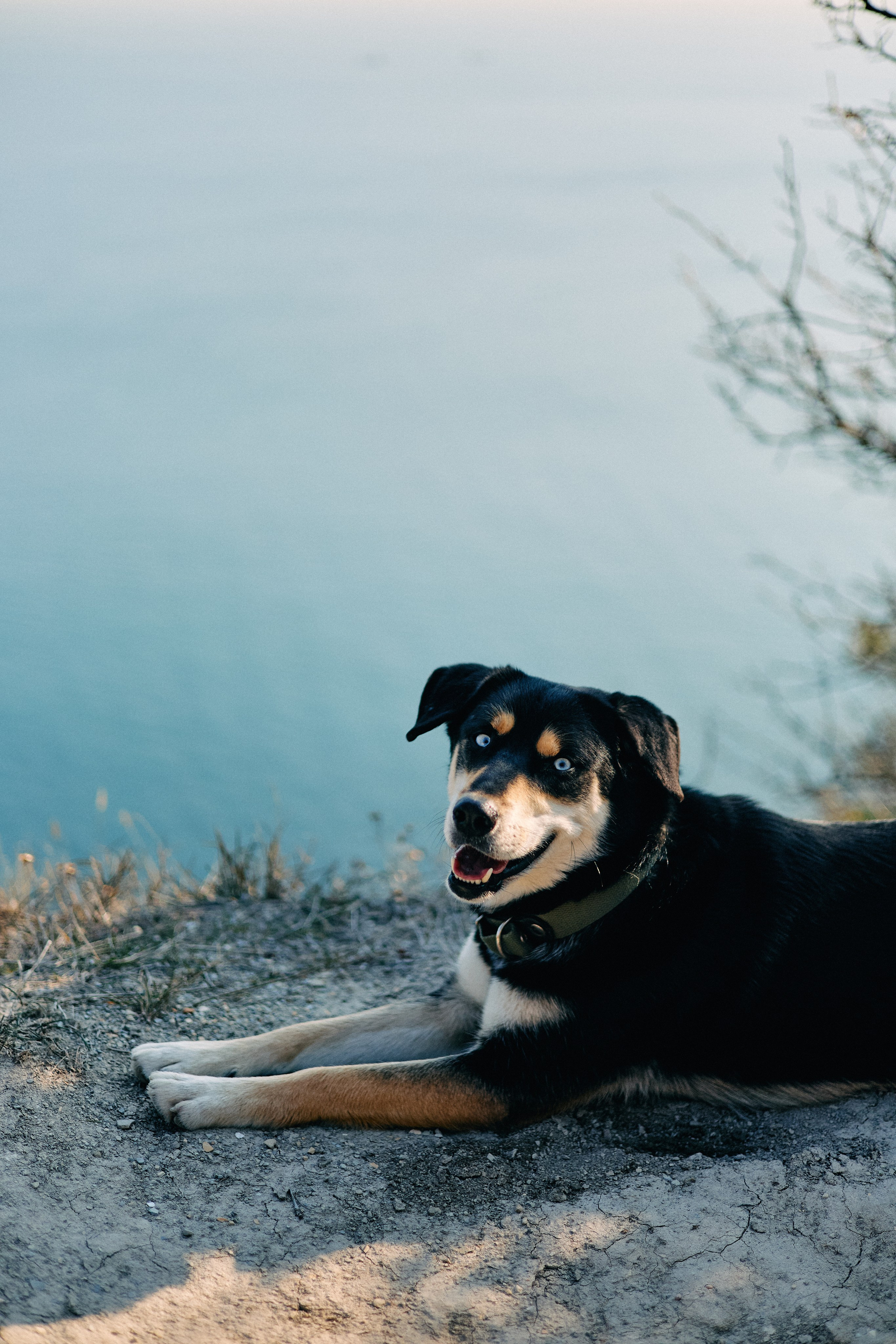 Юг России. Профессиональный Фотограф во Владимире, в Москве и в Суздале — Полина Романычева