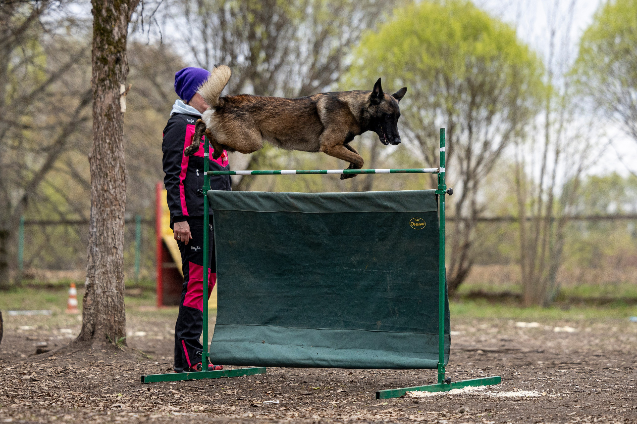 Квалификационные состязания по мондьорингу г. Вологда 11.05.24. Фотограф-анималист Анна Маринич