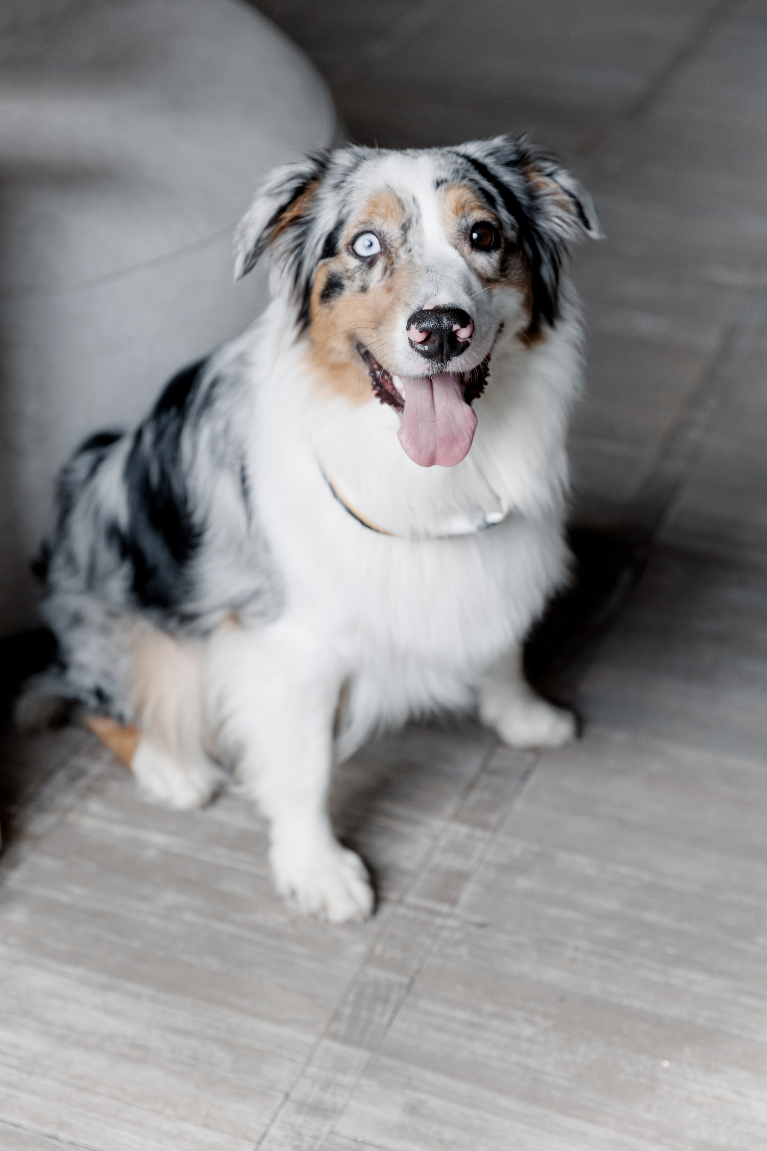 Алексей и Анна (25 октября 2023). Свадебный  и семейный фотограф в Краснодаре