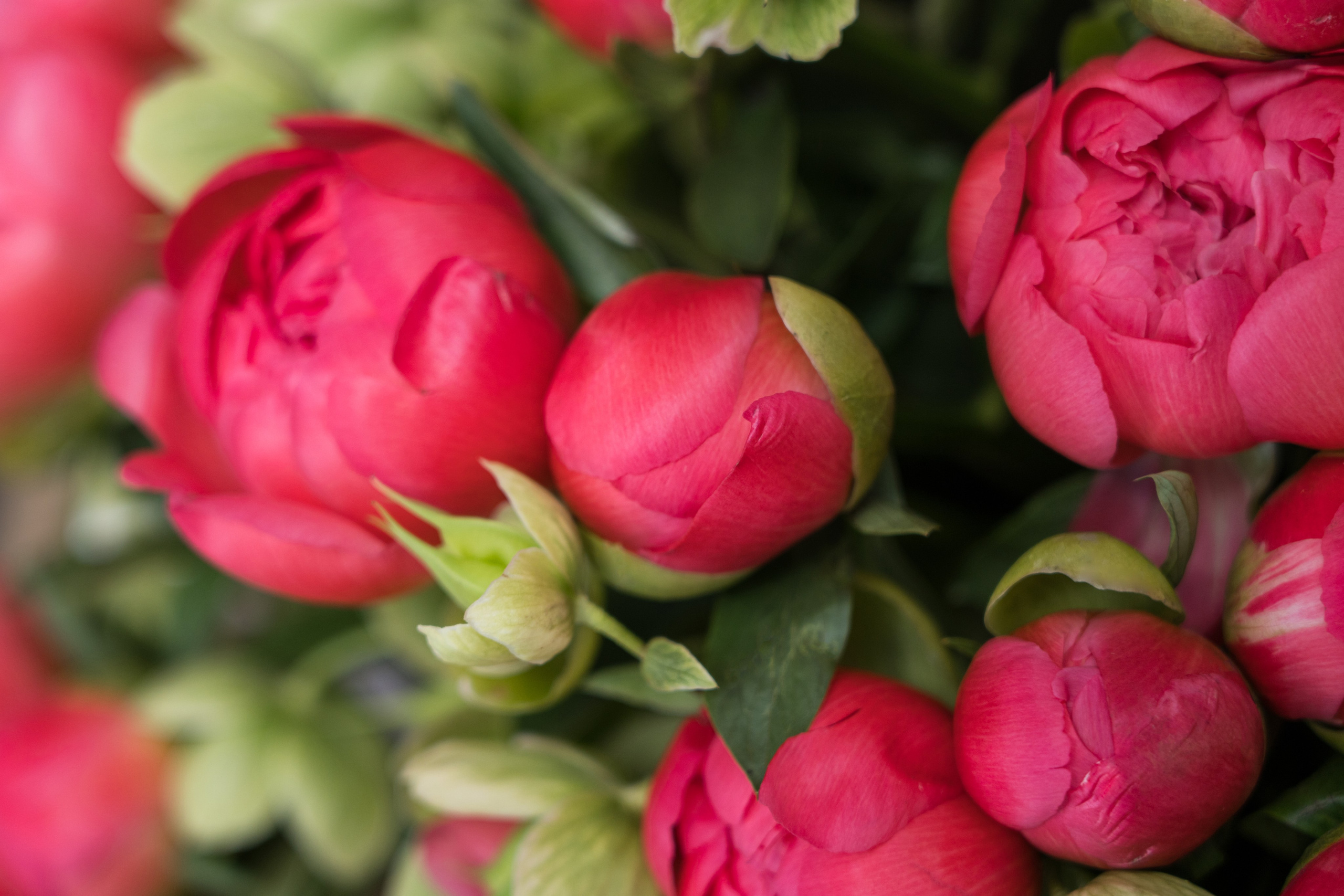 Портфолио. Фотограф для бизнеса, маркетплейсов, контента и соцсетей в Барнауле Савинкова Виктория