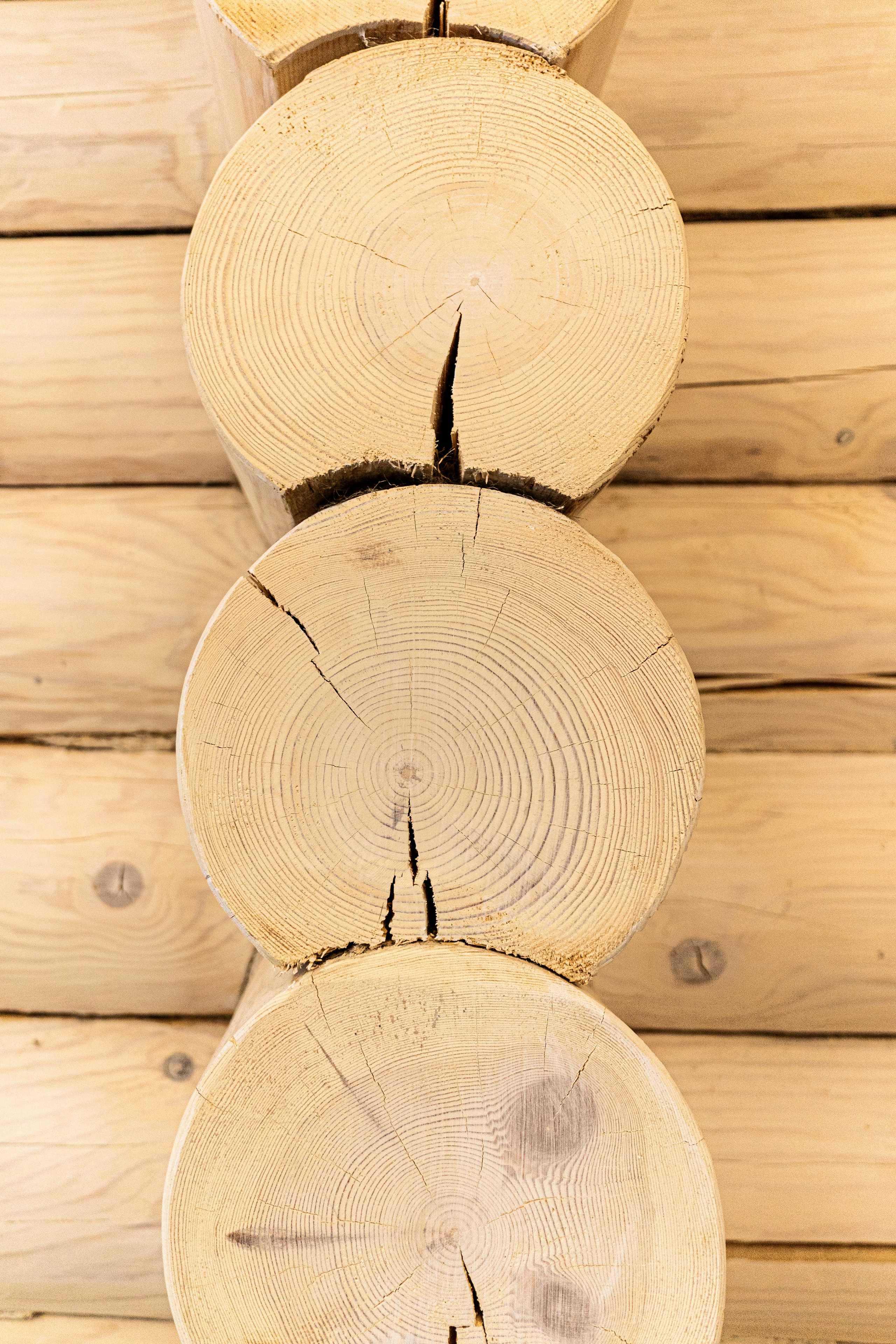 Home. Анастасия Паршукова — фотограф Шерегеш Новосибирск