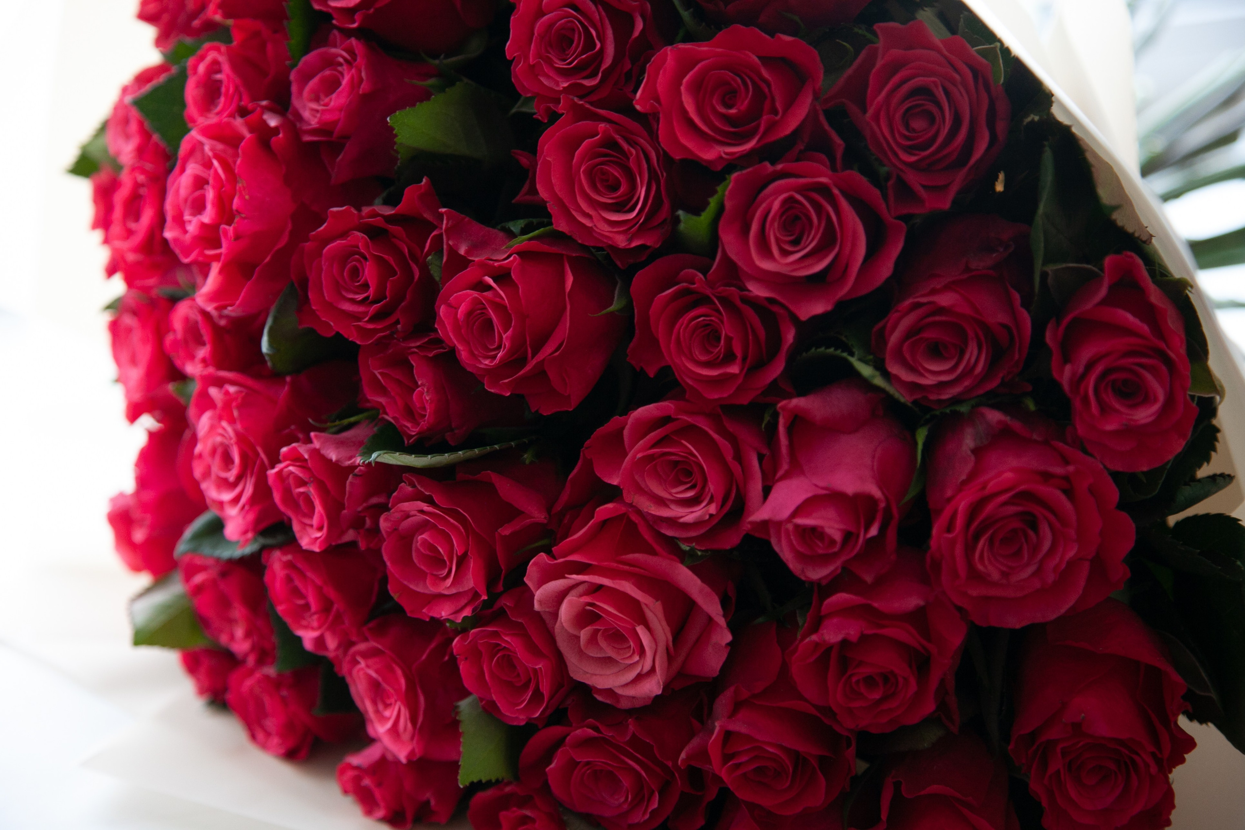 Фотосессия выписки из 17 роддома Санкт-Петербурга. Татьяна Нагорнова — семейный фотограф в Санкт-Петербурге