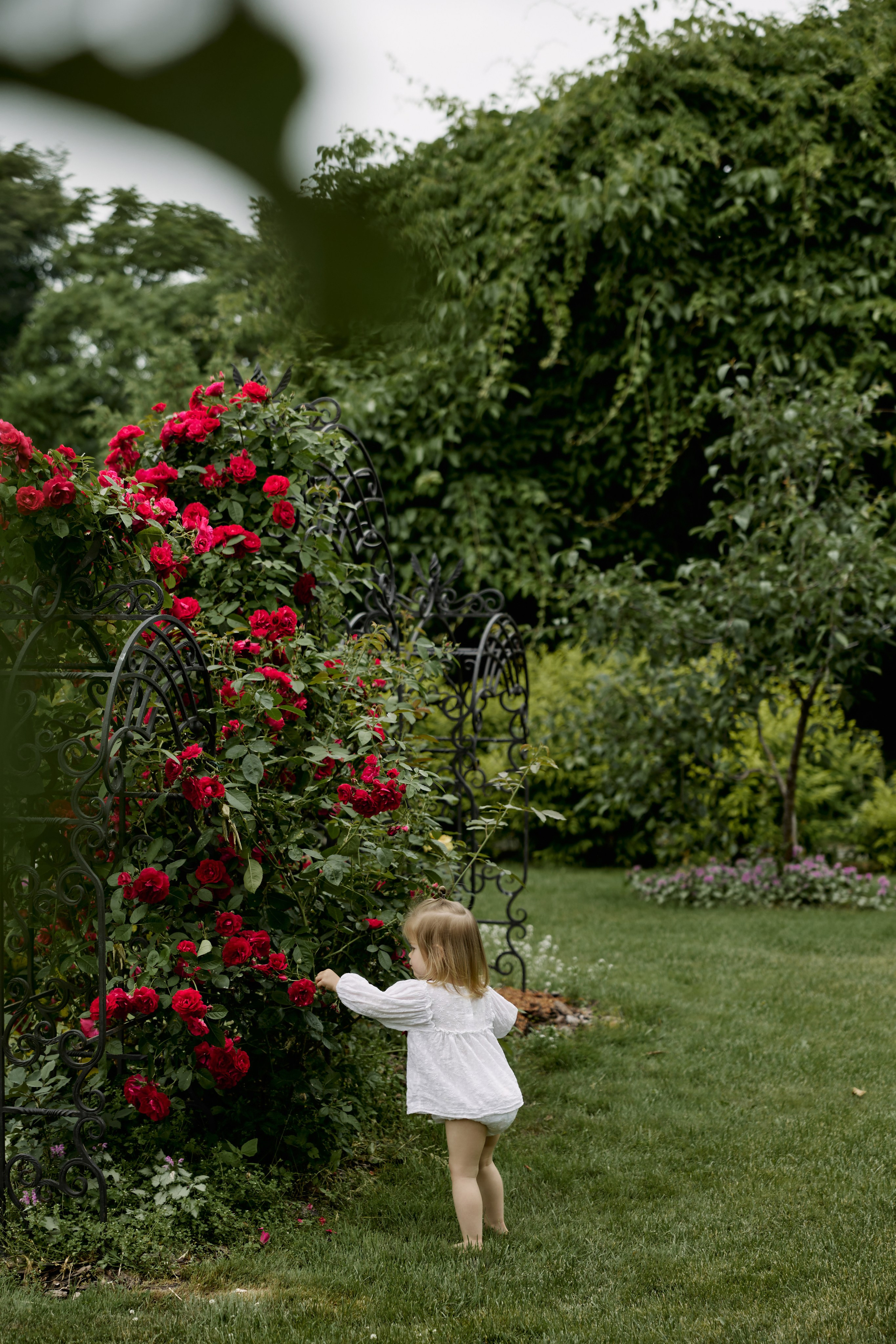 Прогулка в саду. Семейный фотограф и фотограф беременности во Владивостоке