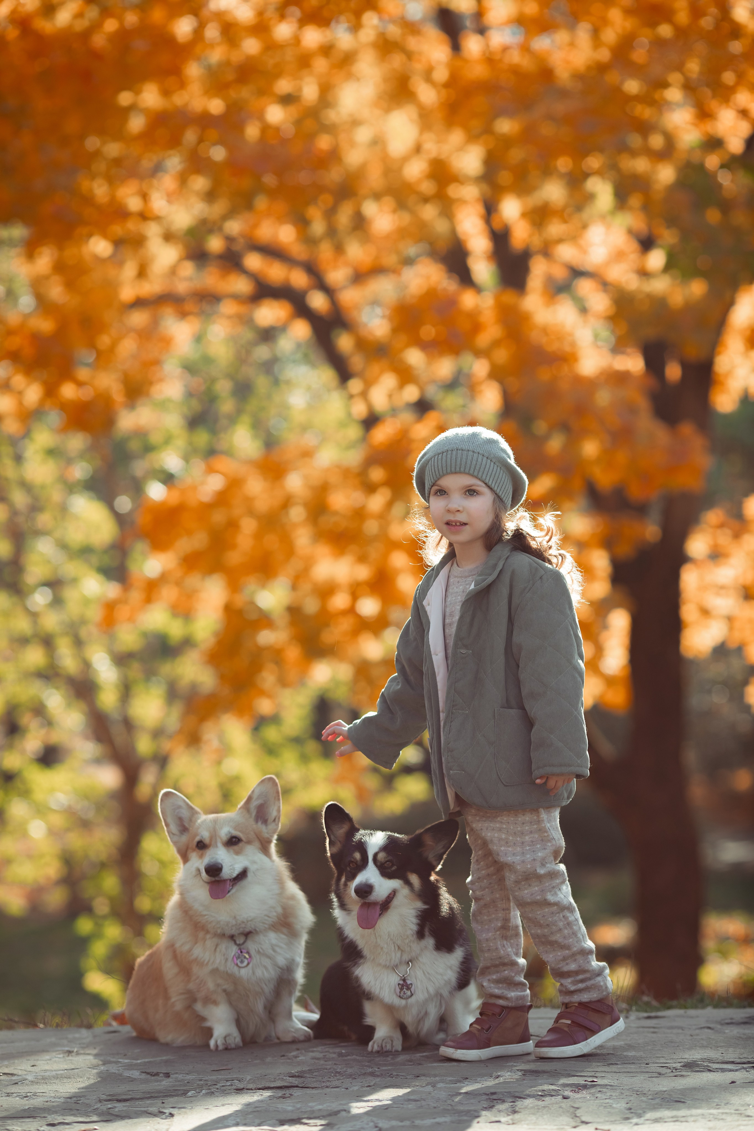 Эва с корги. Семейный и детский фотограф в Москве Дорогова Екатерина