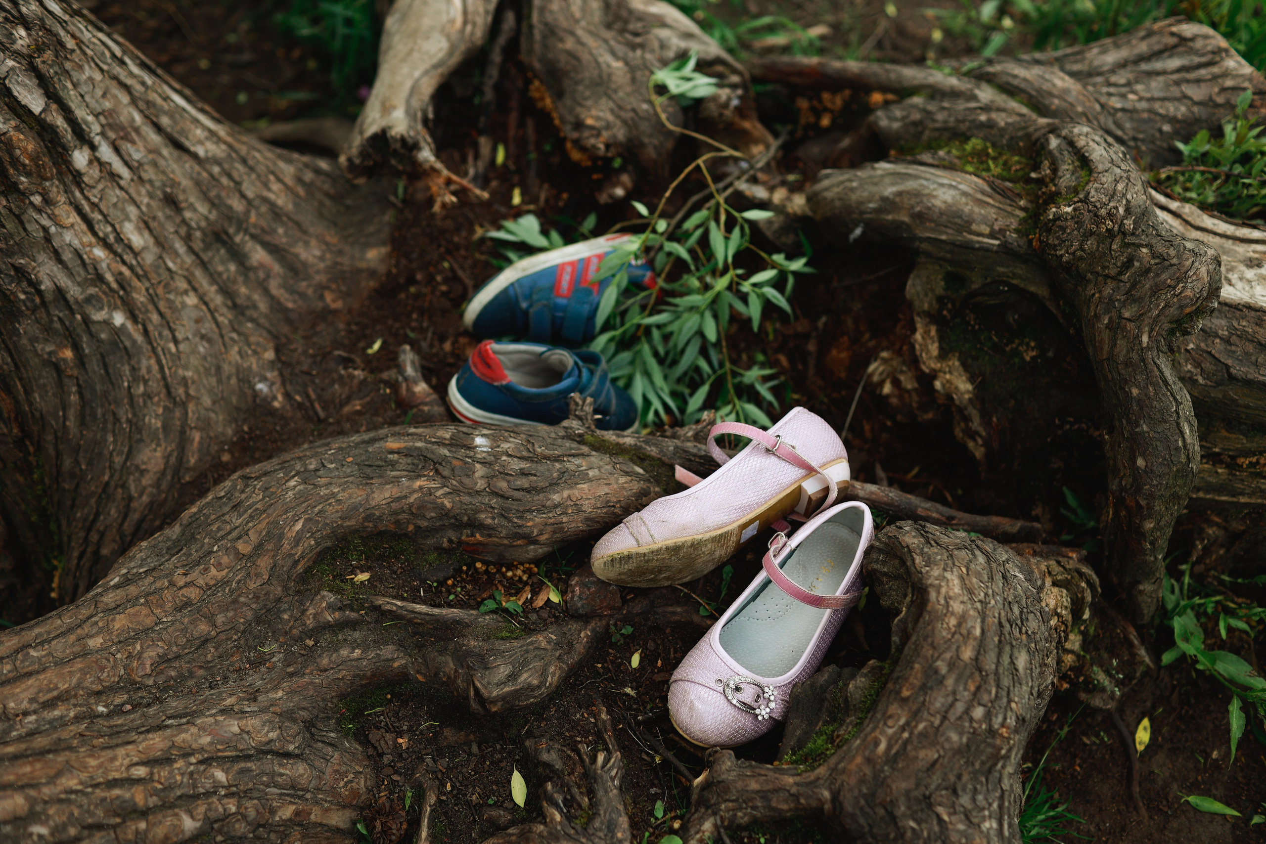 Семейные фотографии. Фотограф из Санкт-Петербурга Саша Кушнерова. Портретный фотограф в Санкт-Петербурге. Саша Кушнерова