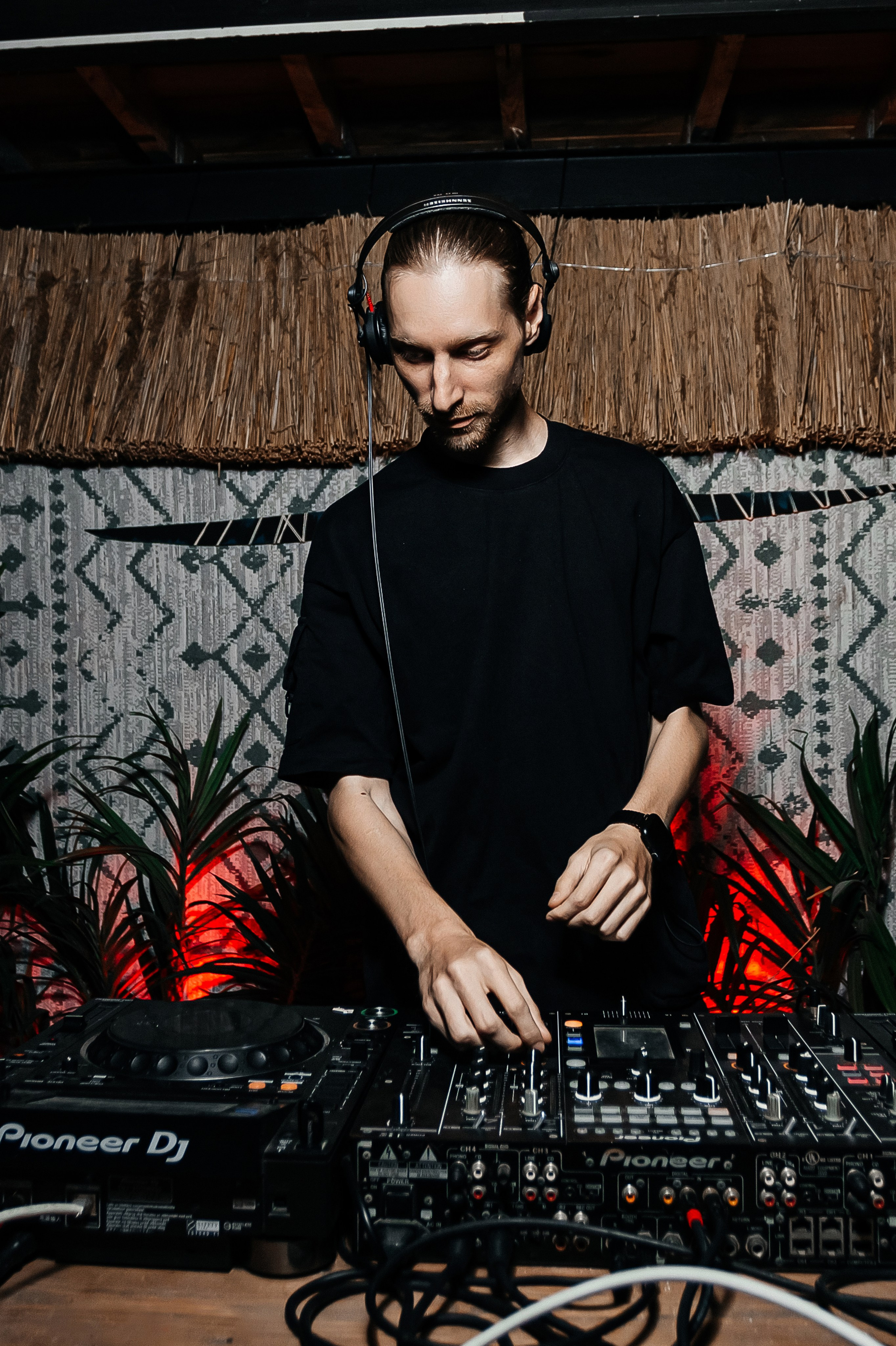 Бурито_Чайка_на_пляже_Ялта 23.08.2024. Аминов Руслан | Фотограф