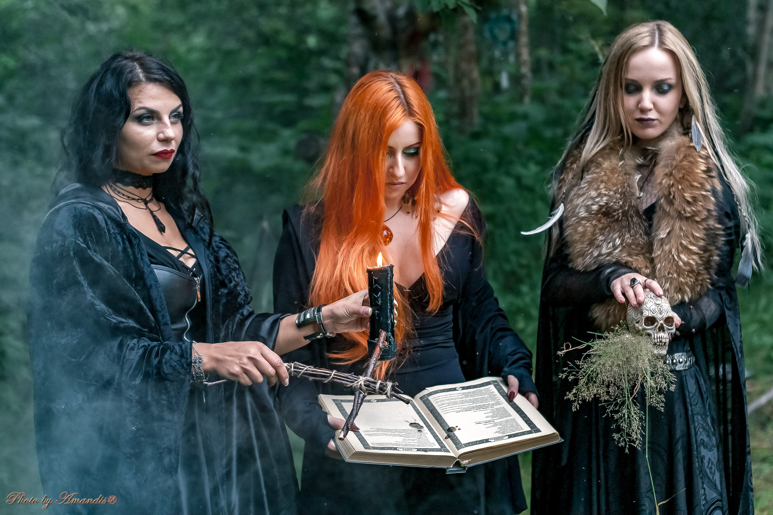 The witches. Репортажная съемка в Москве и области. Анималистика