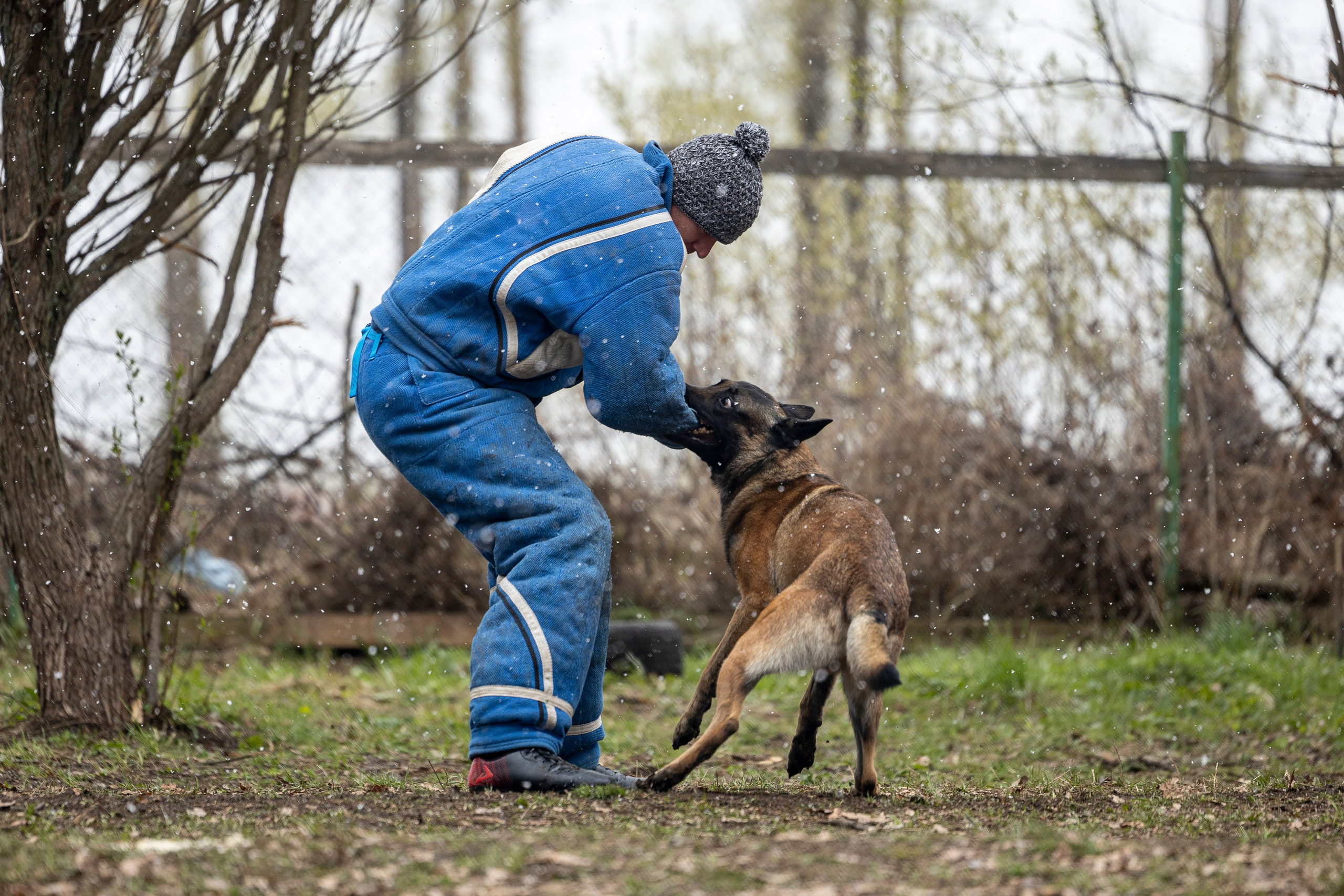 Квалификационные состязания по мондьорингу г. Вологда 11.05.24. Фотограф-анималист Анна Маринич