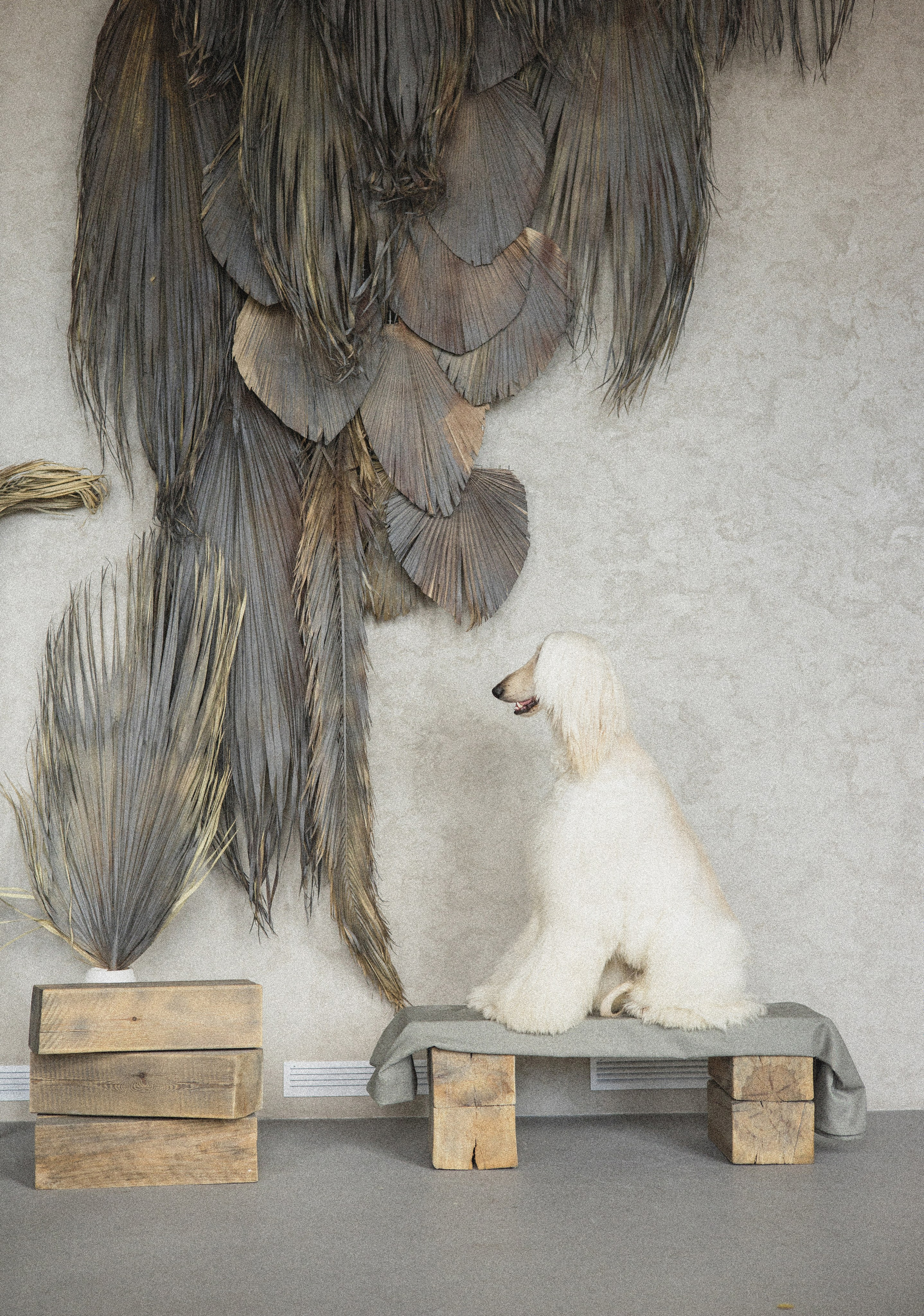 Портфолио. Фотограф-анималист в Екатеринбурге Марина Шишкина