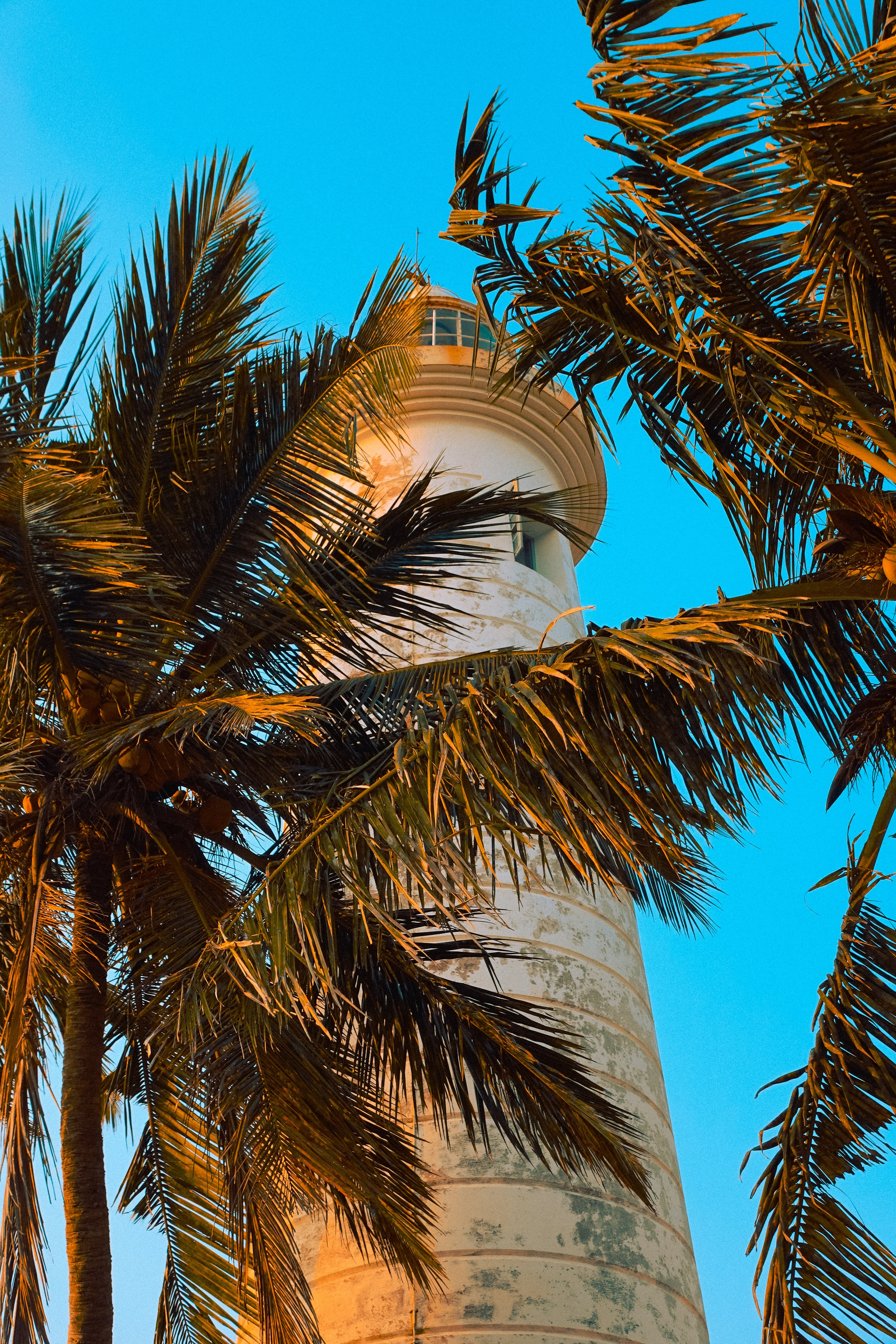 Шри-Ланка. Фотограф Алиса Аспер