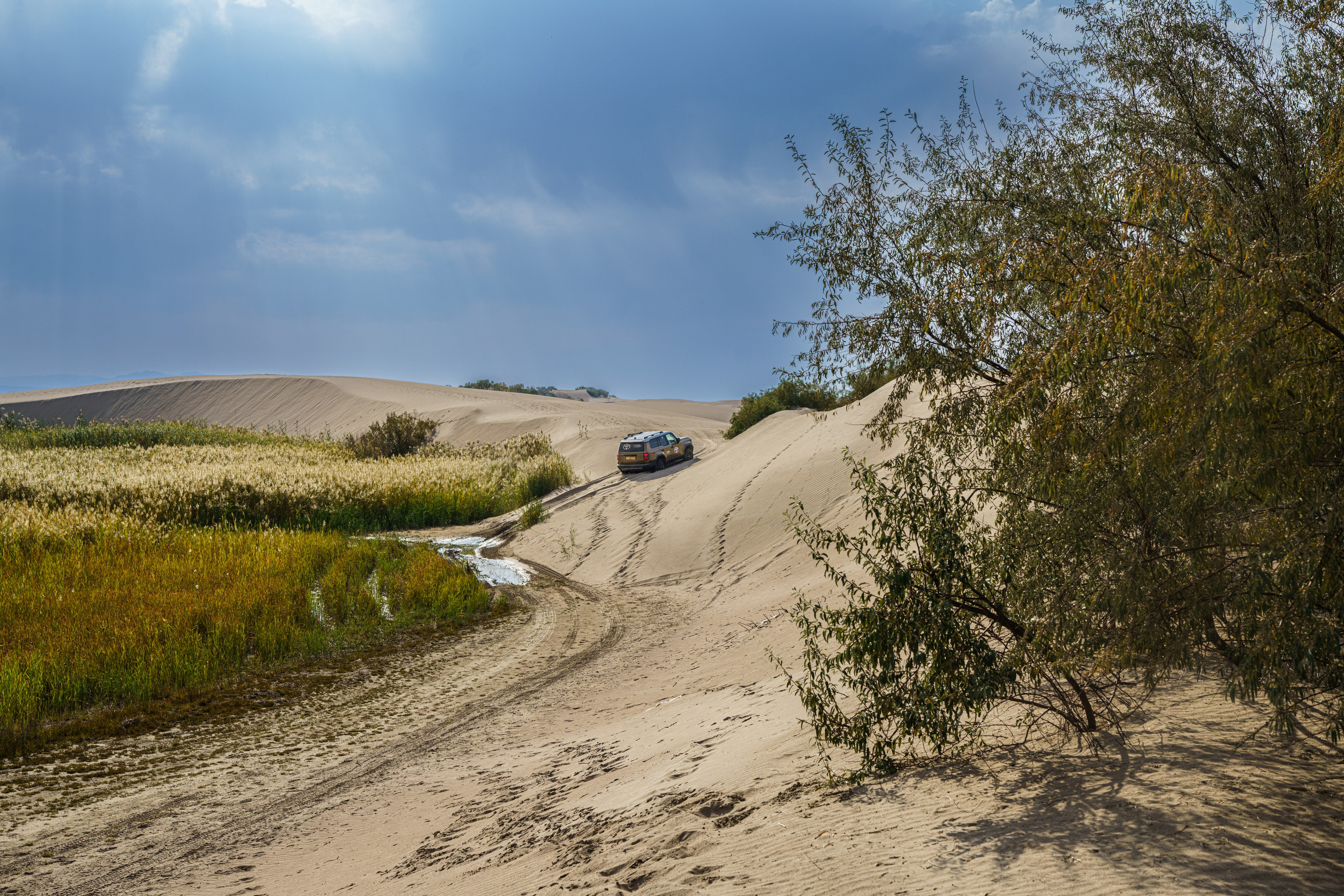 NatGeo Qaz x Toyota: осень в Алма-атинской области 2024. Свадебный и Студийный фотограф из Казахстана Артем Орлянский