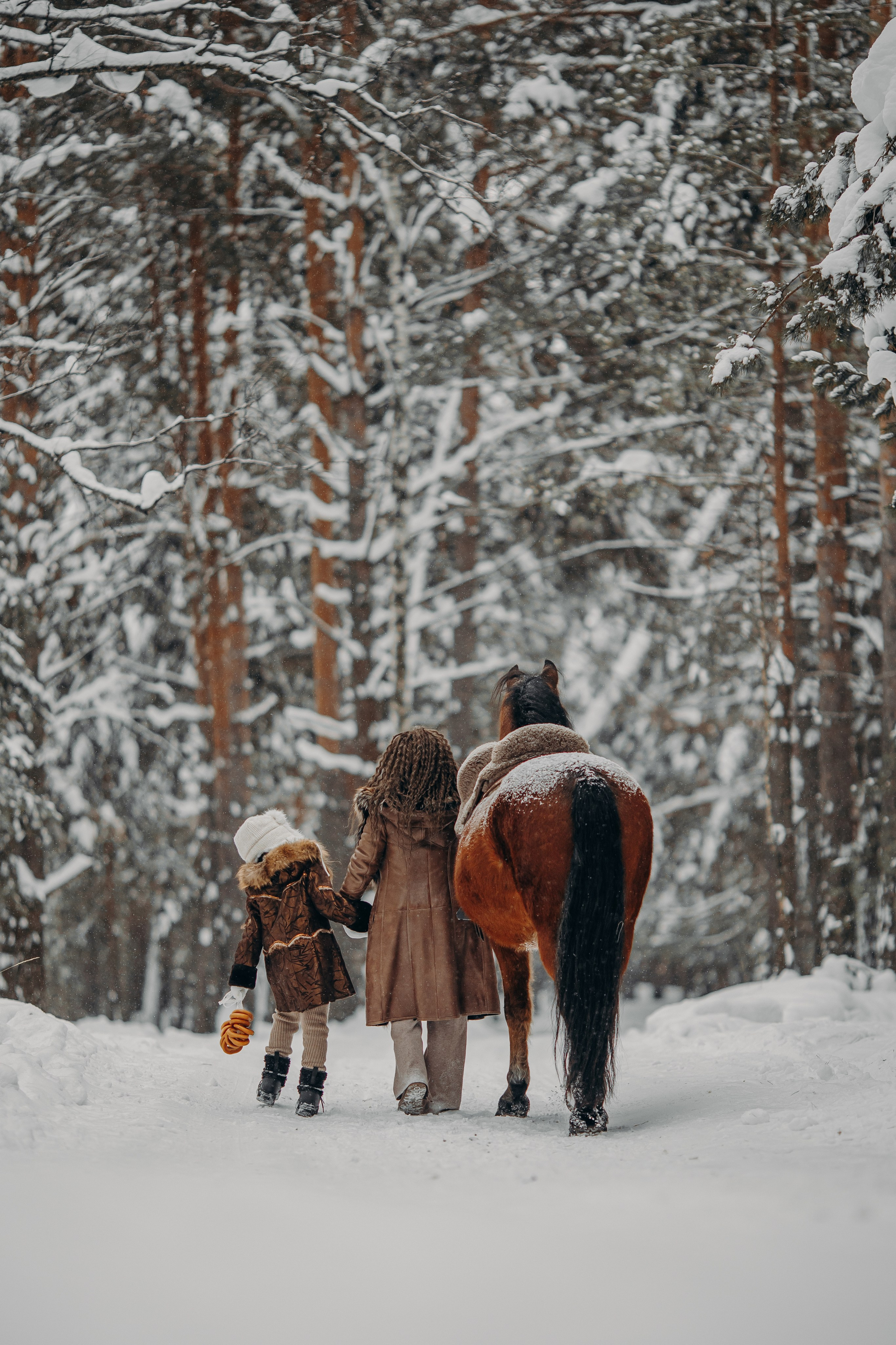 Тоша и баранки. Анна Молчанова конный фотограф в Тюмени | фотосессии с лошадьми Тюмень