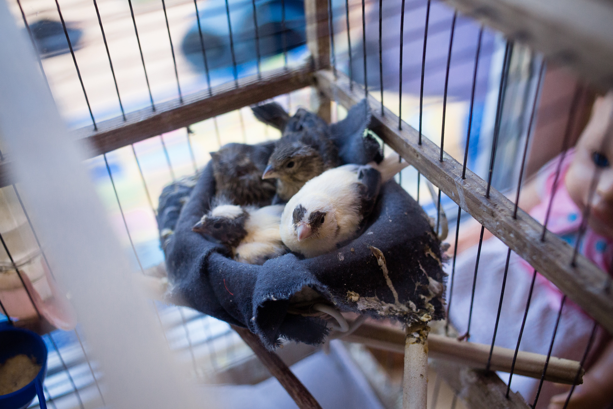 Documenting family. Фотограф Екатерина Веденина